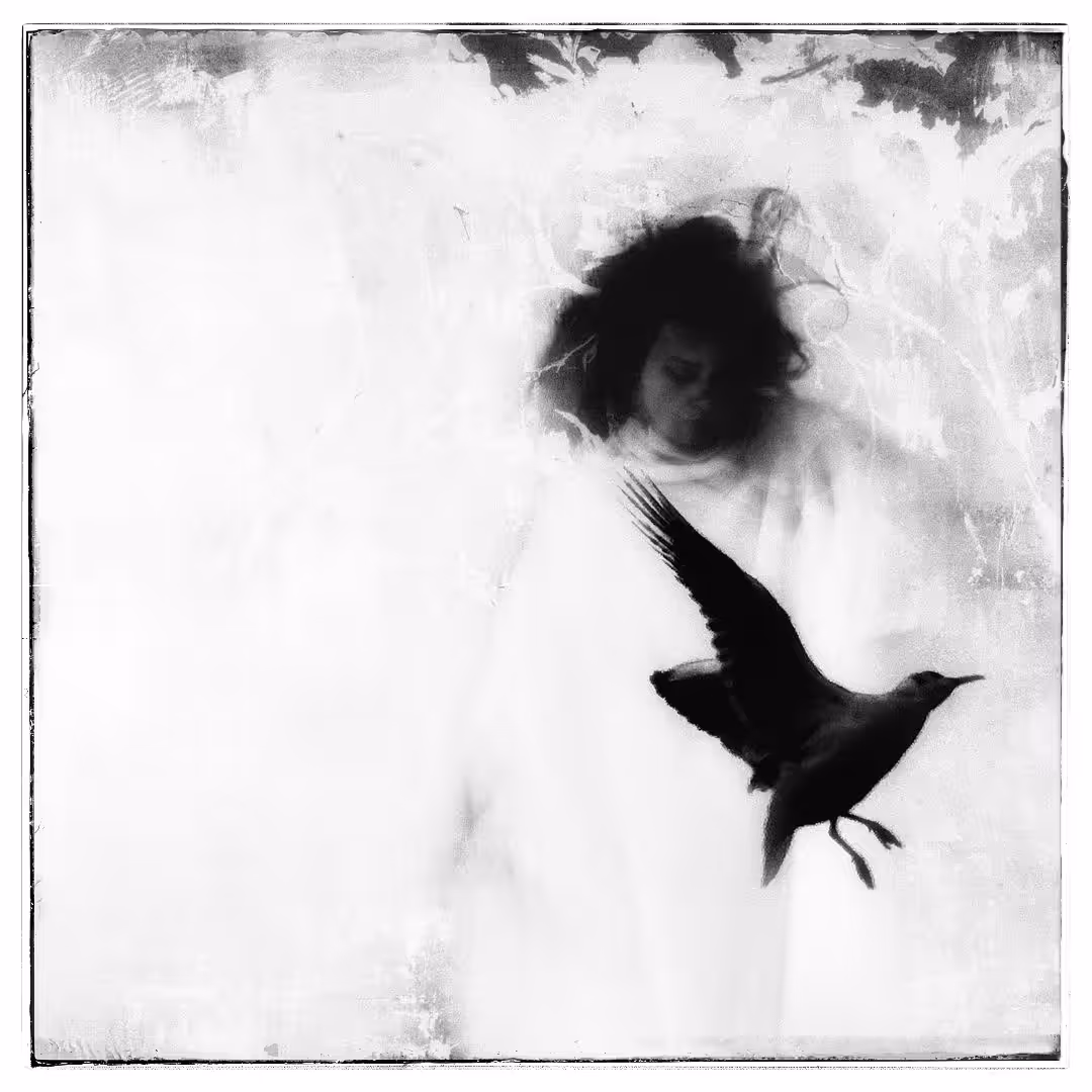 people don't fly - but they have wings