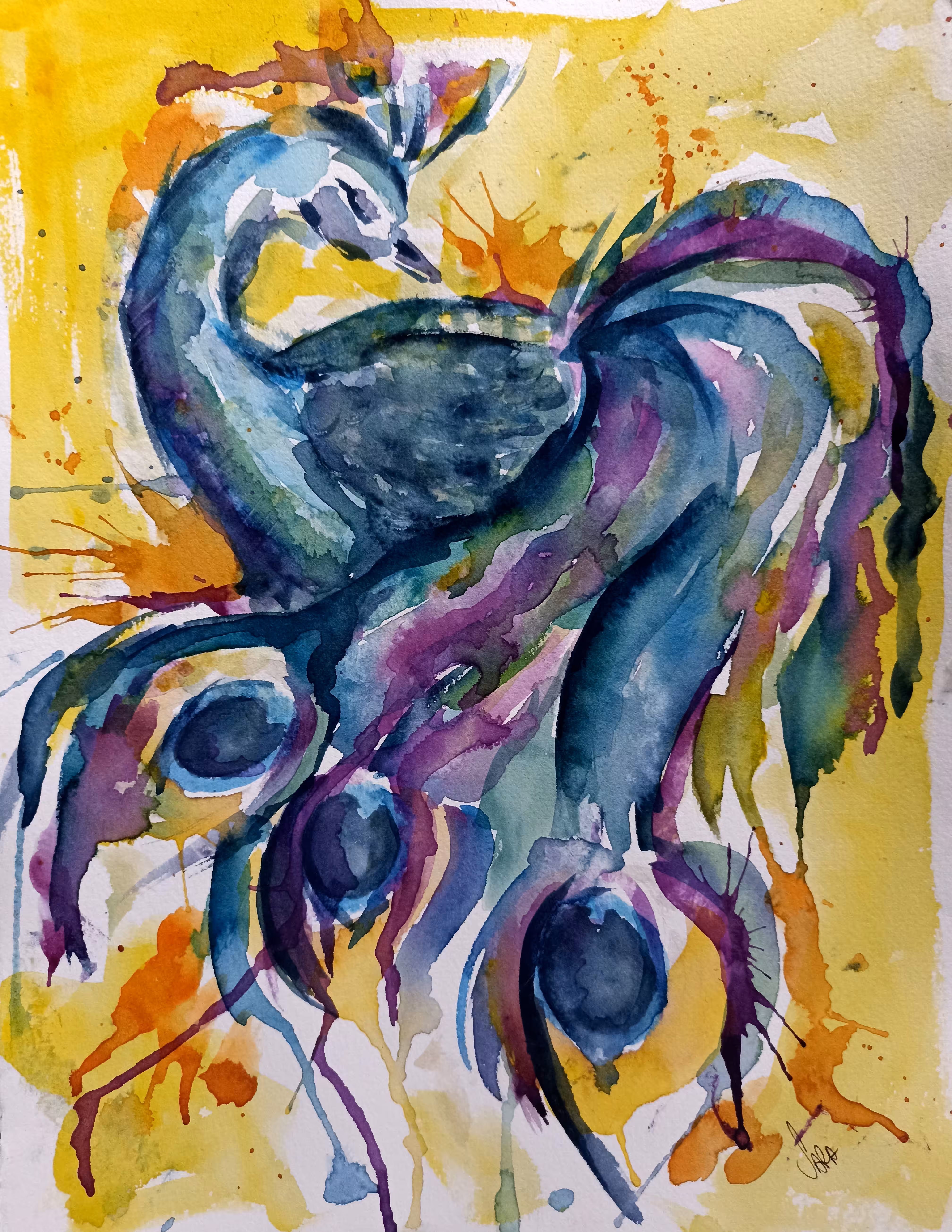 The peacock (V2)