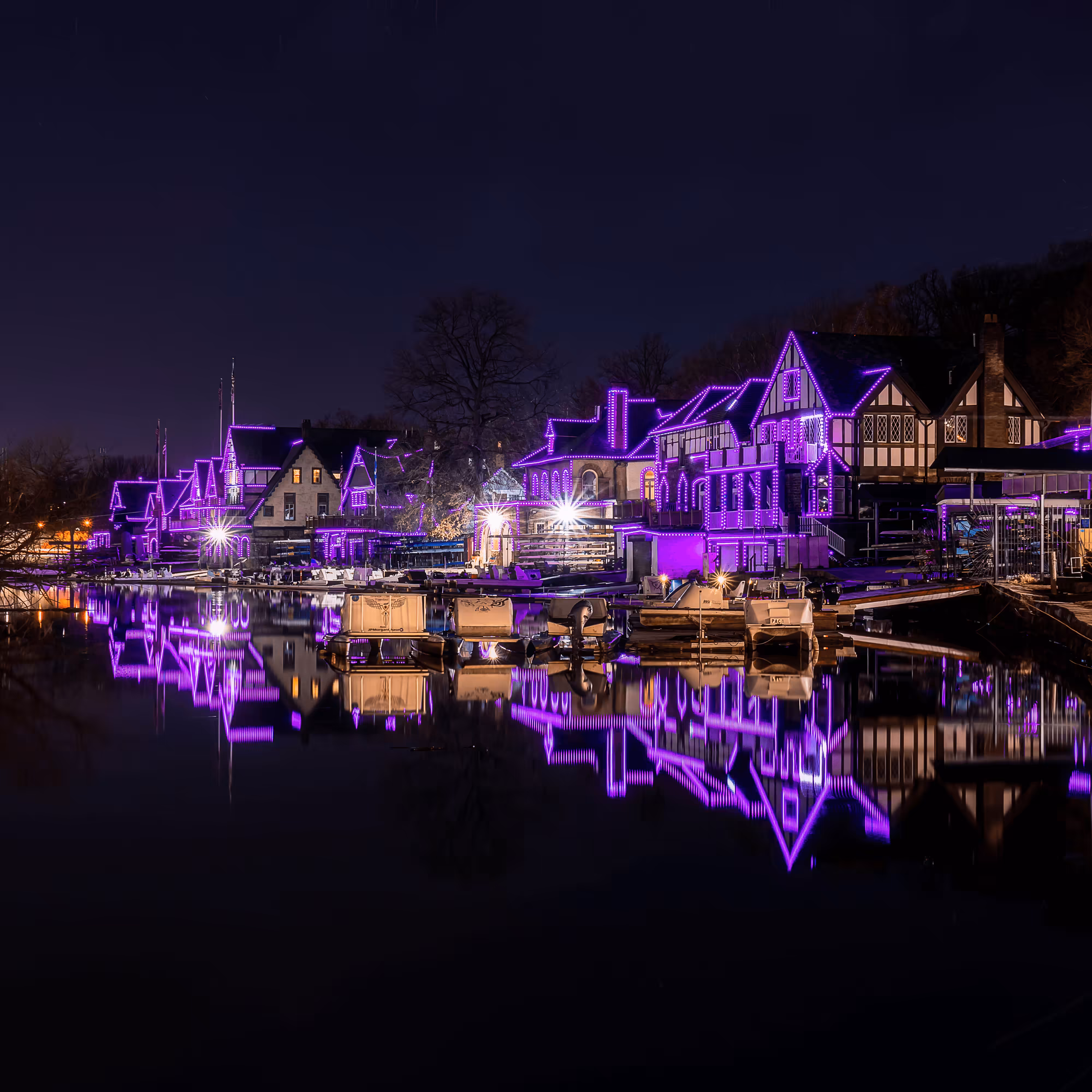 Purple #5