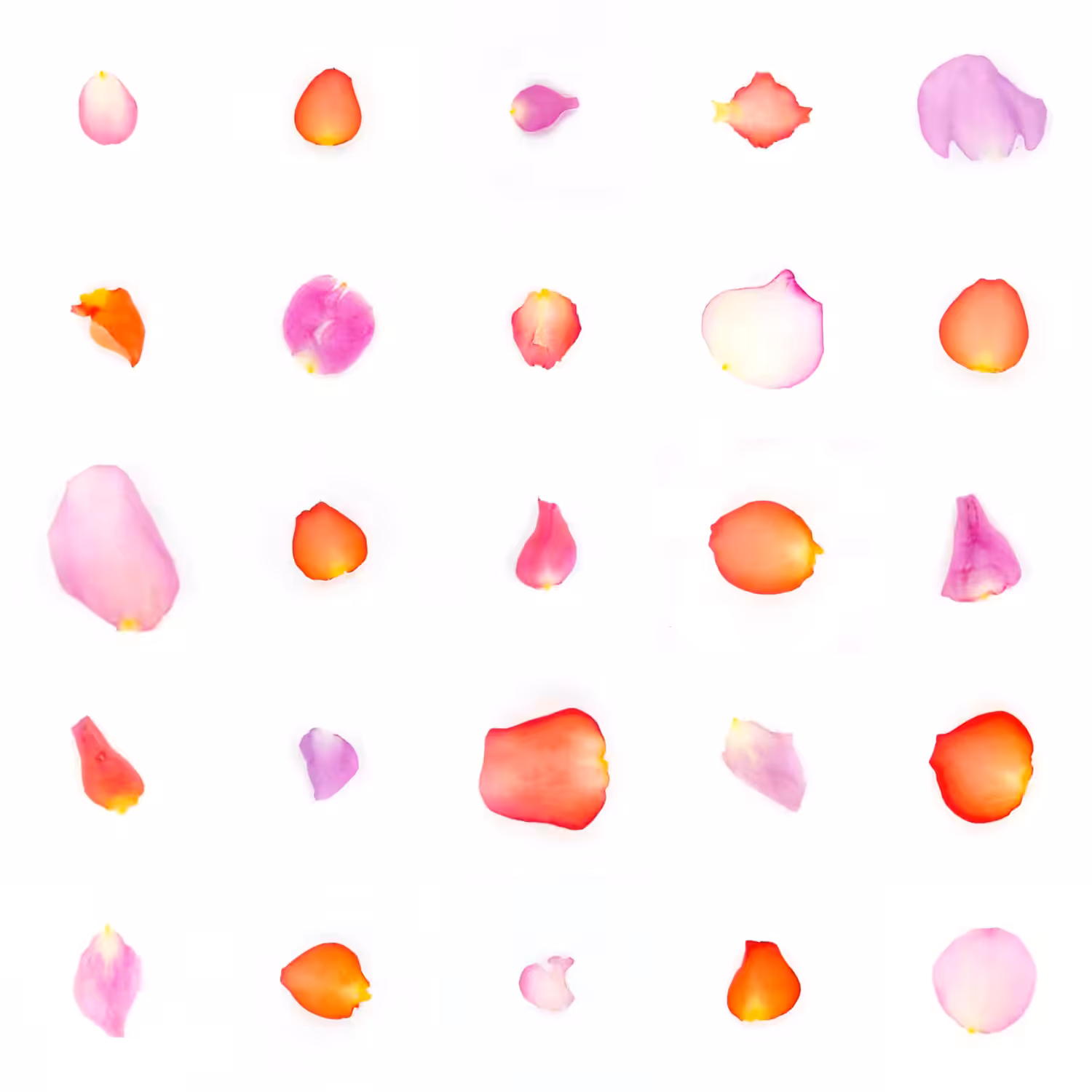 Infinite Petals 5x5#814