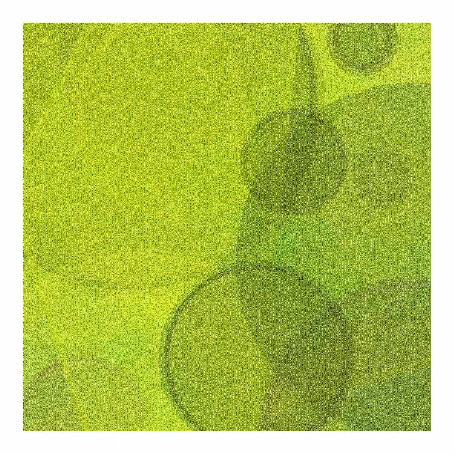 Abstract Circles #11