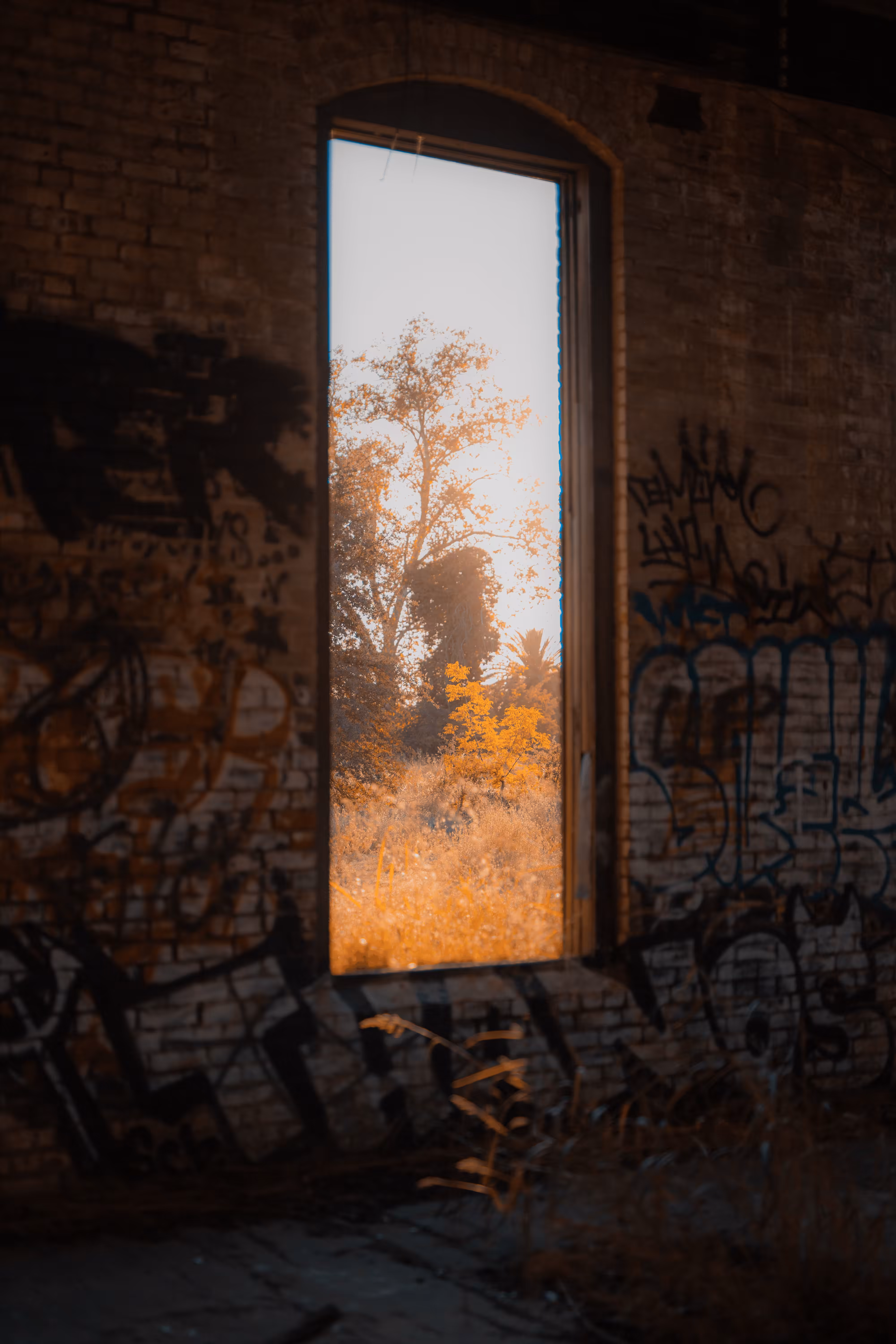 A Window into the Forgotten - A Change for All #2