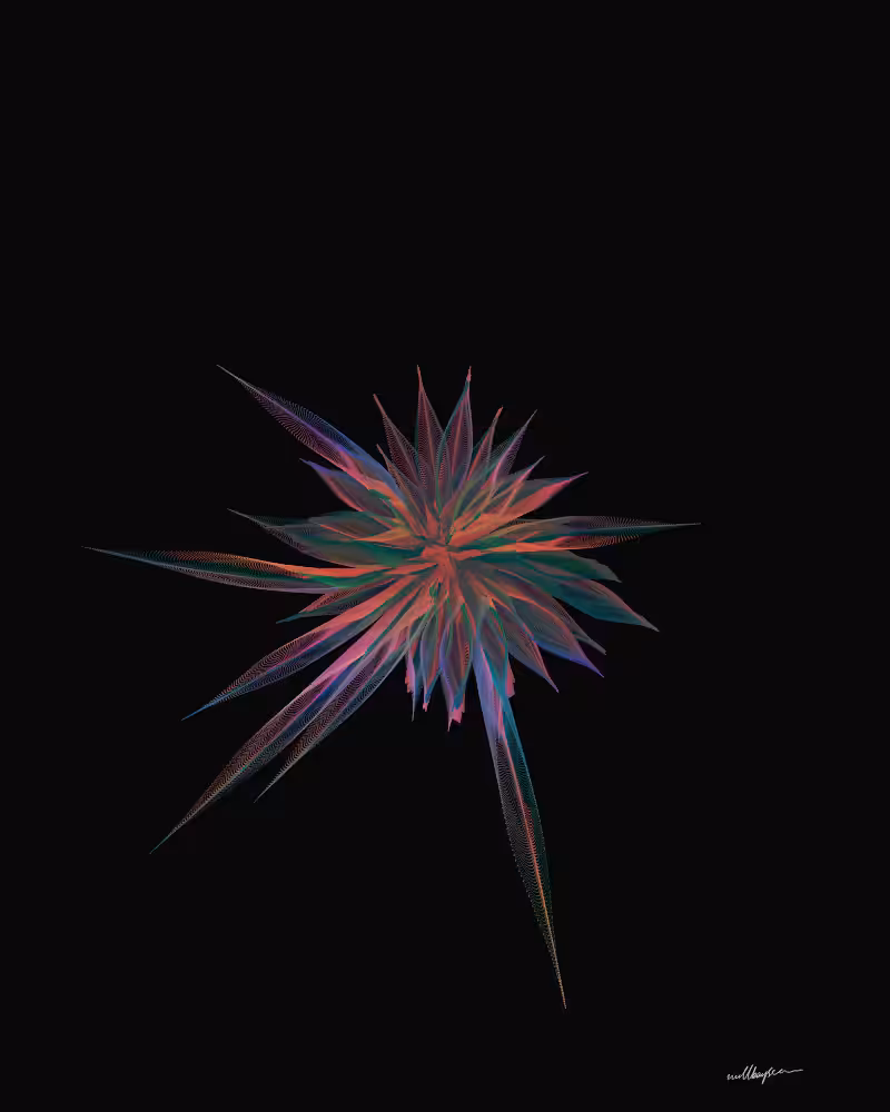InBloom #158