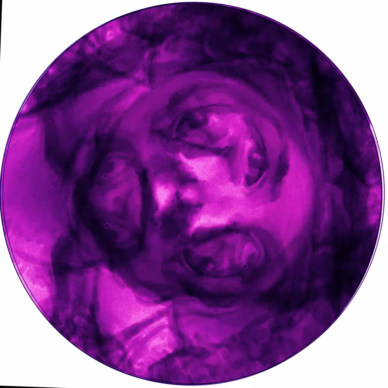 Multirostro 2,a videoimage.
