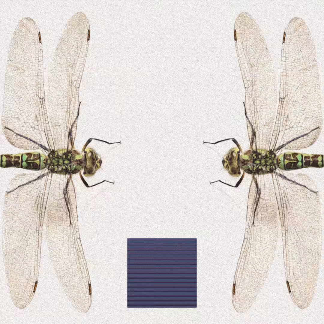 Dragonfly #10