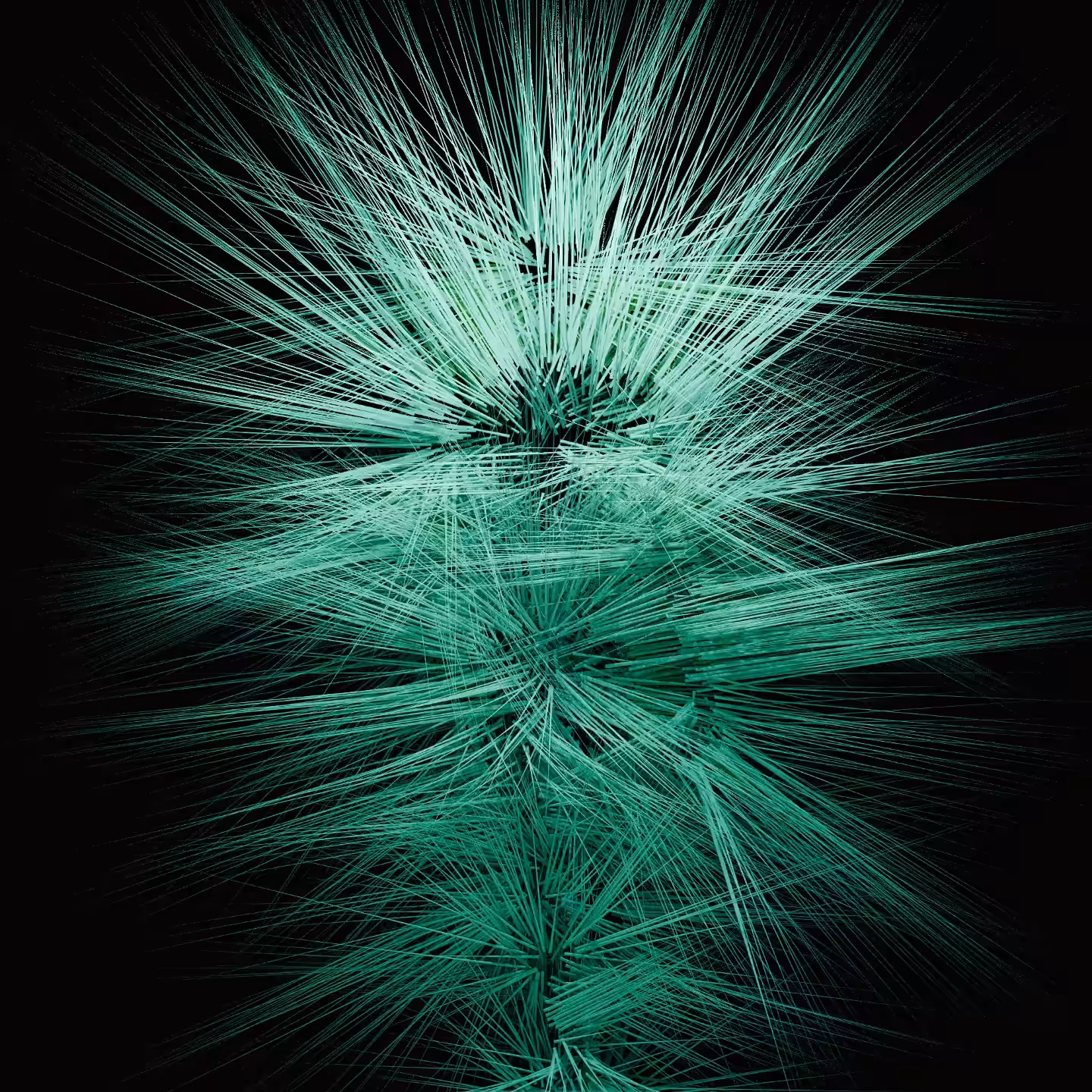 BRISTLE No. 2