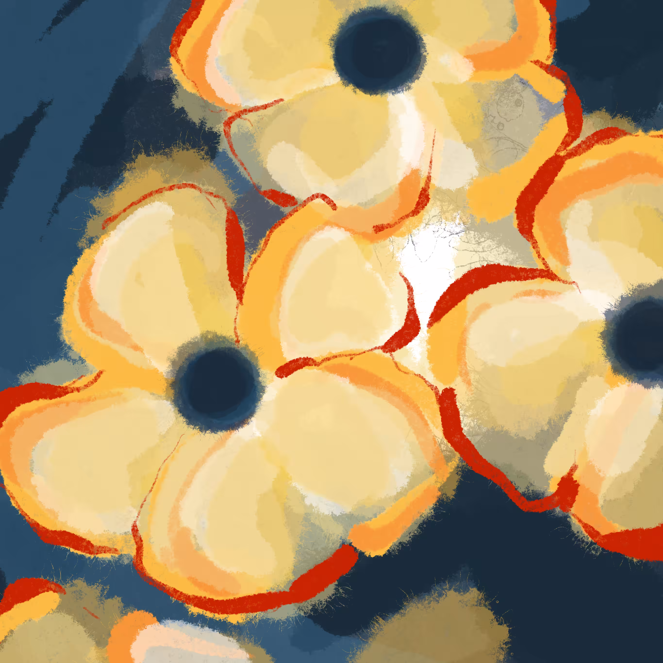 //nocturnalAbstracts: florals 5