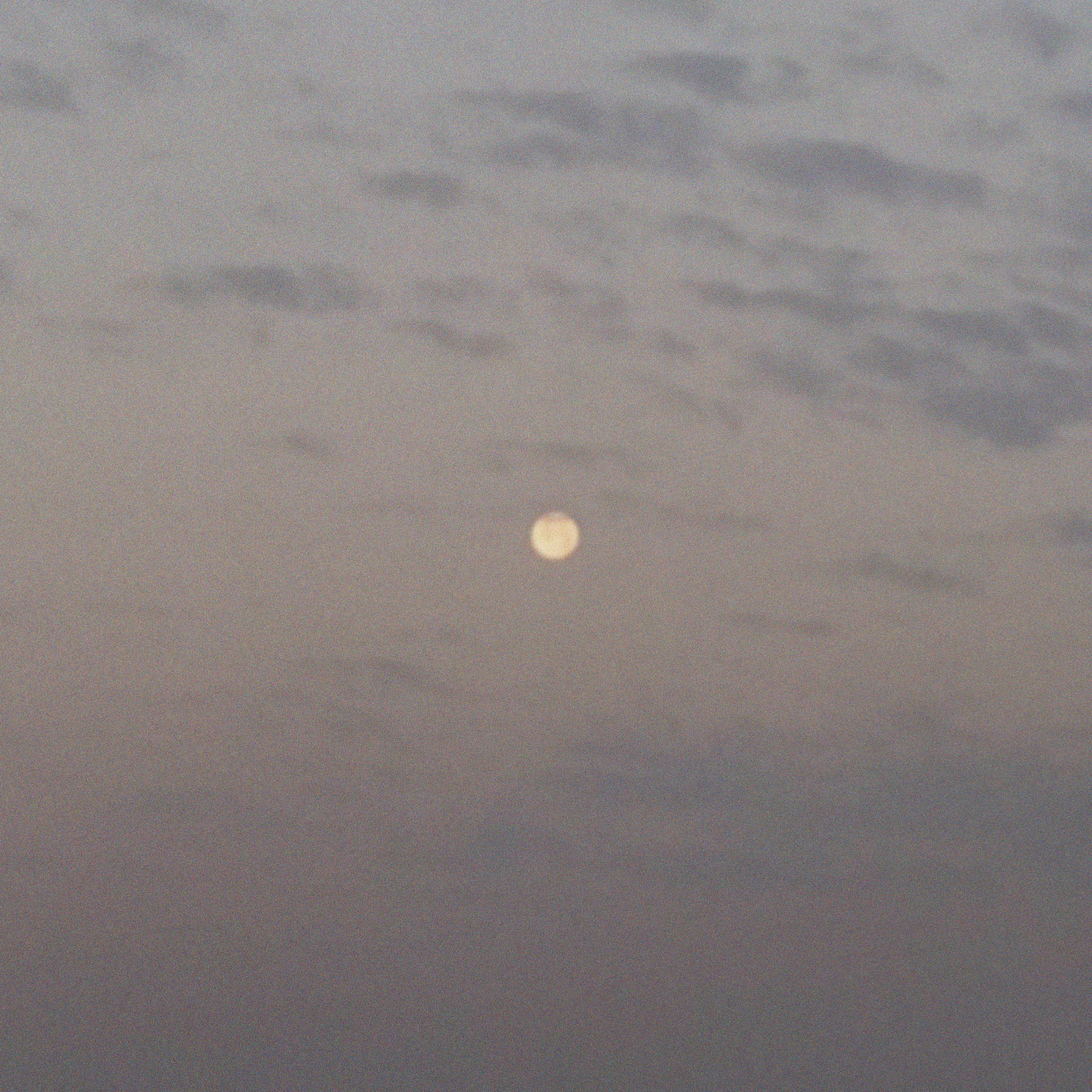 YOU ARE THE MOON