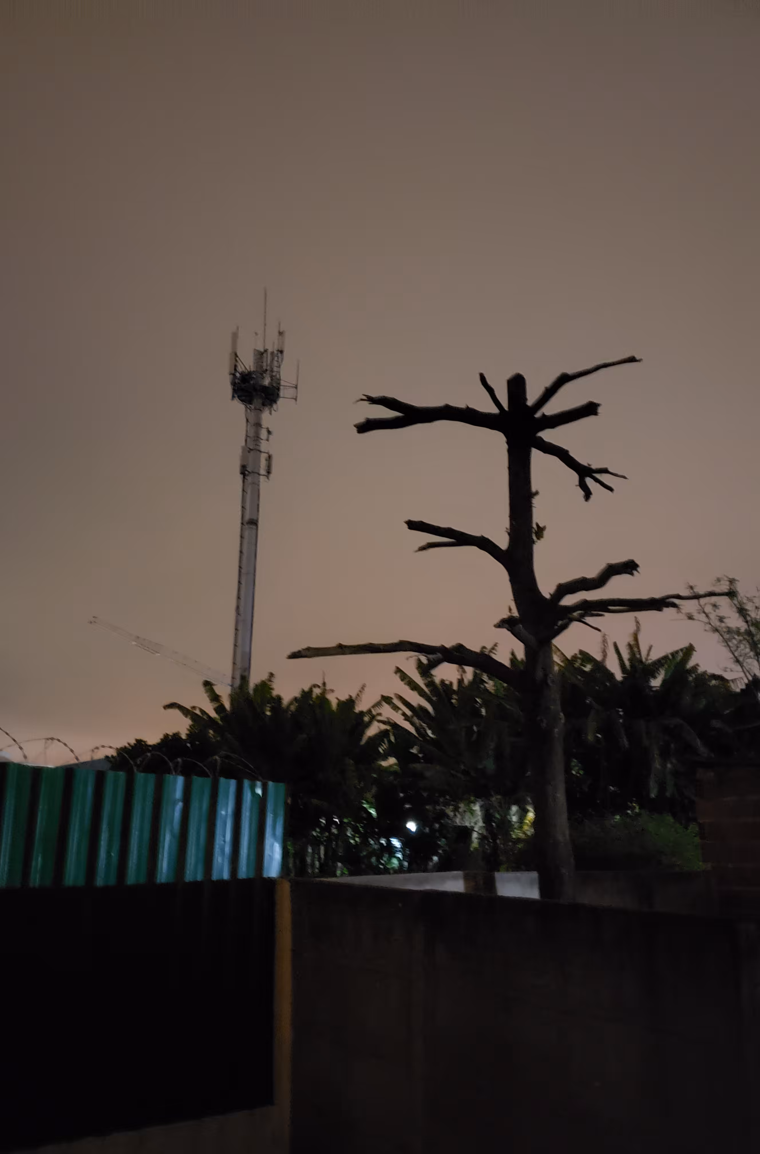Concrete Jungle | Selva de Pedra
