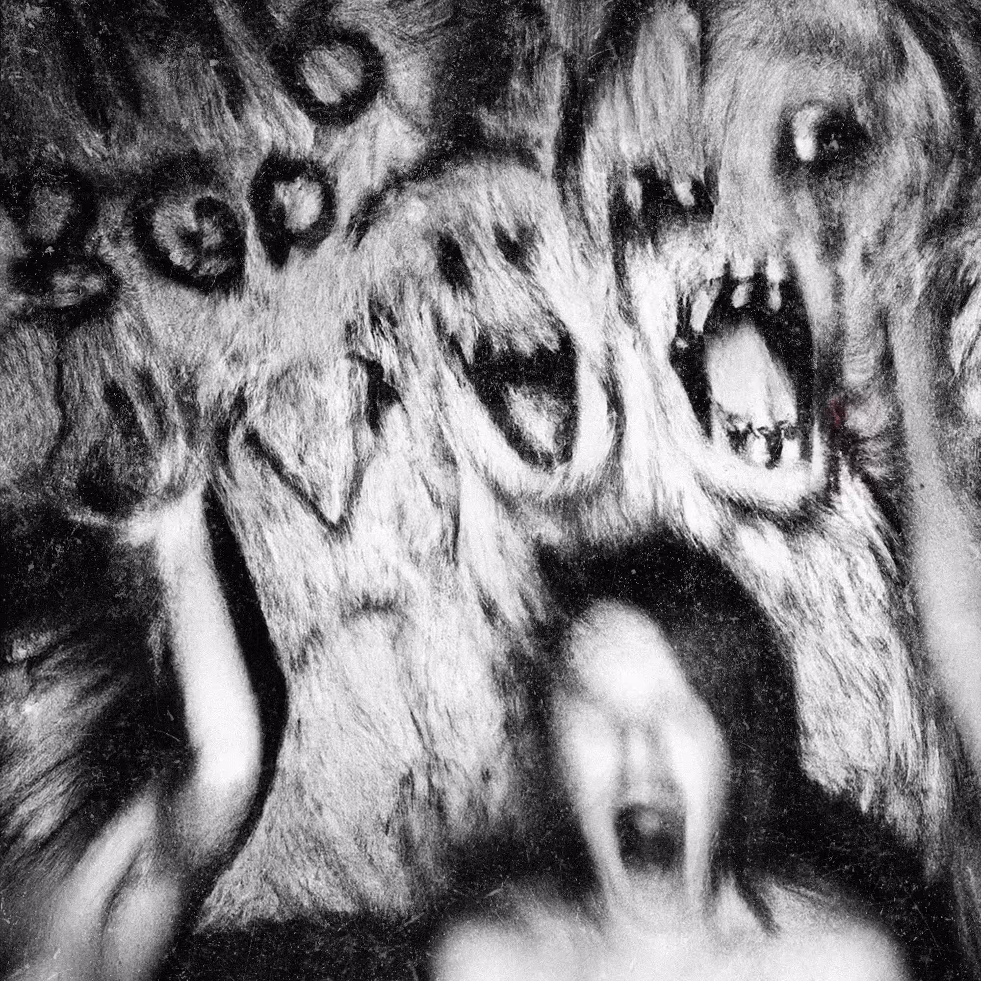 Screams of the Damned
