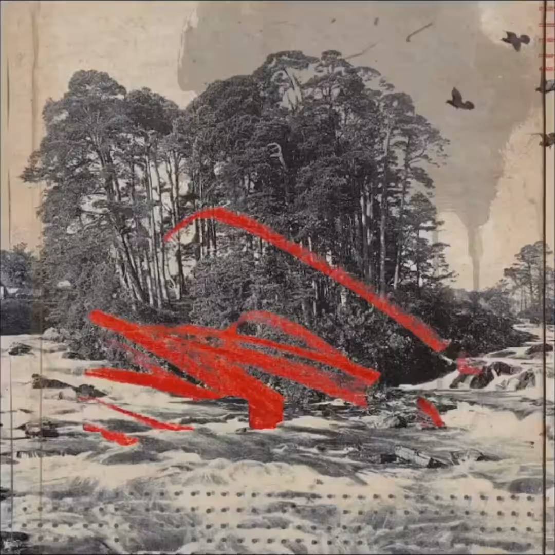 We Hope You Enjoy 'Life'