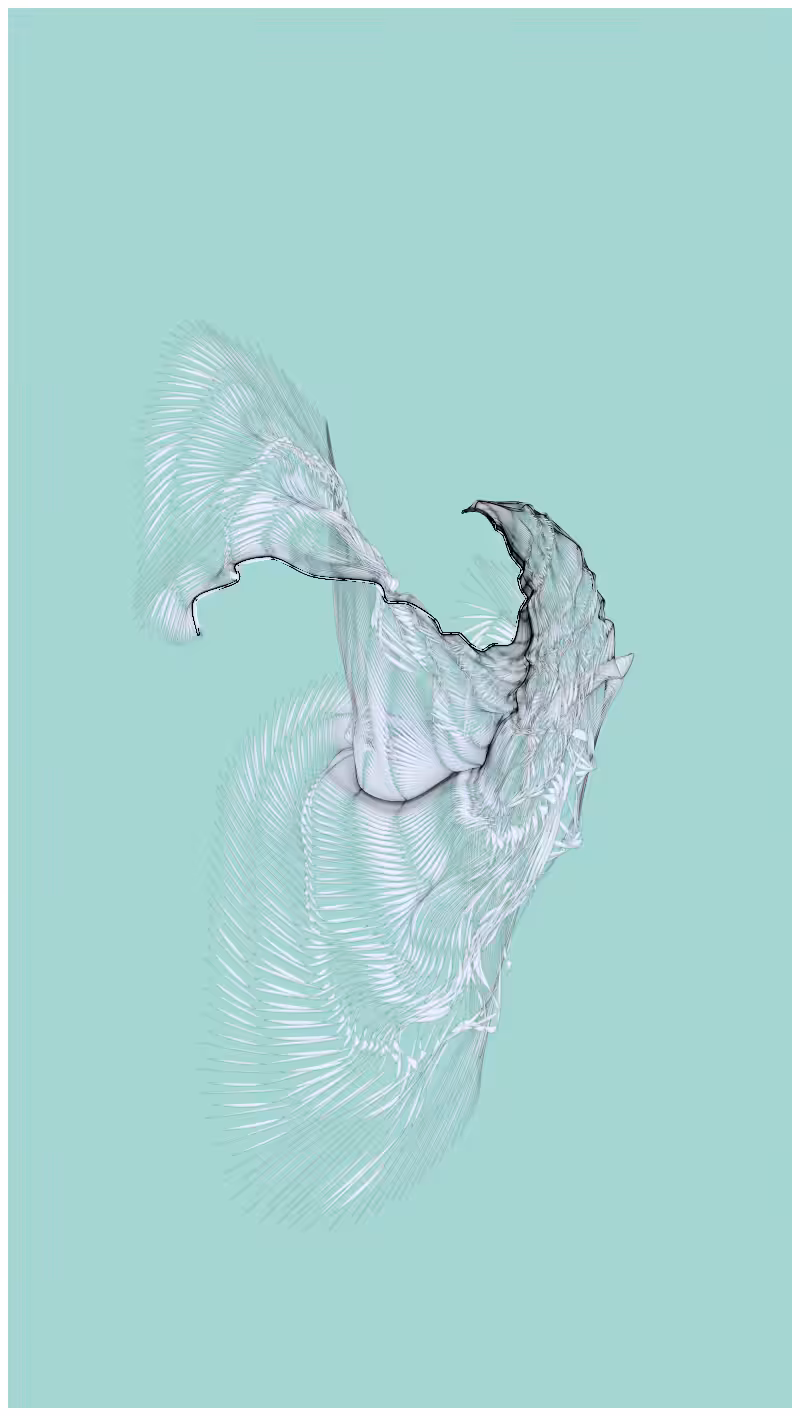 Imaginarium in colors #25