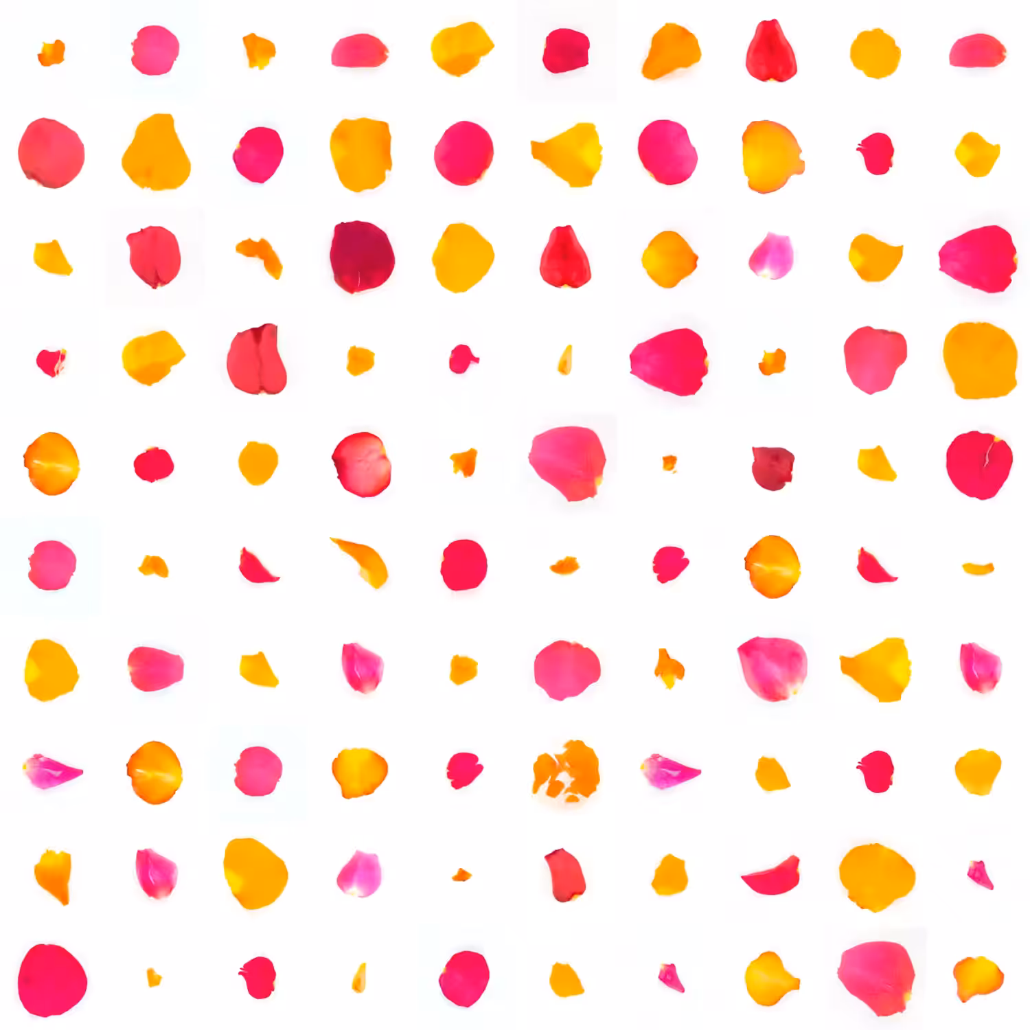 Infinite Petals 10x10#17