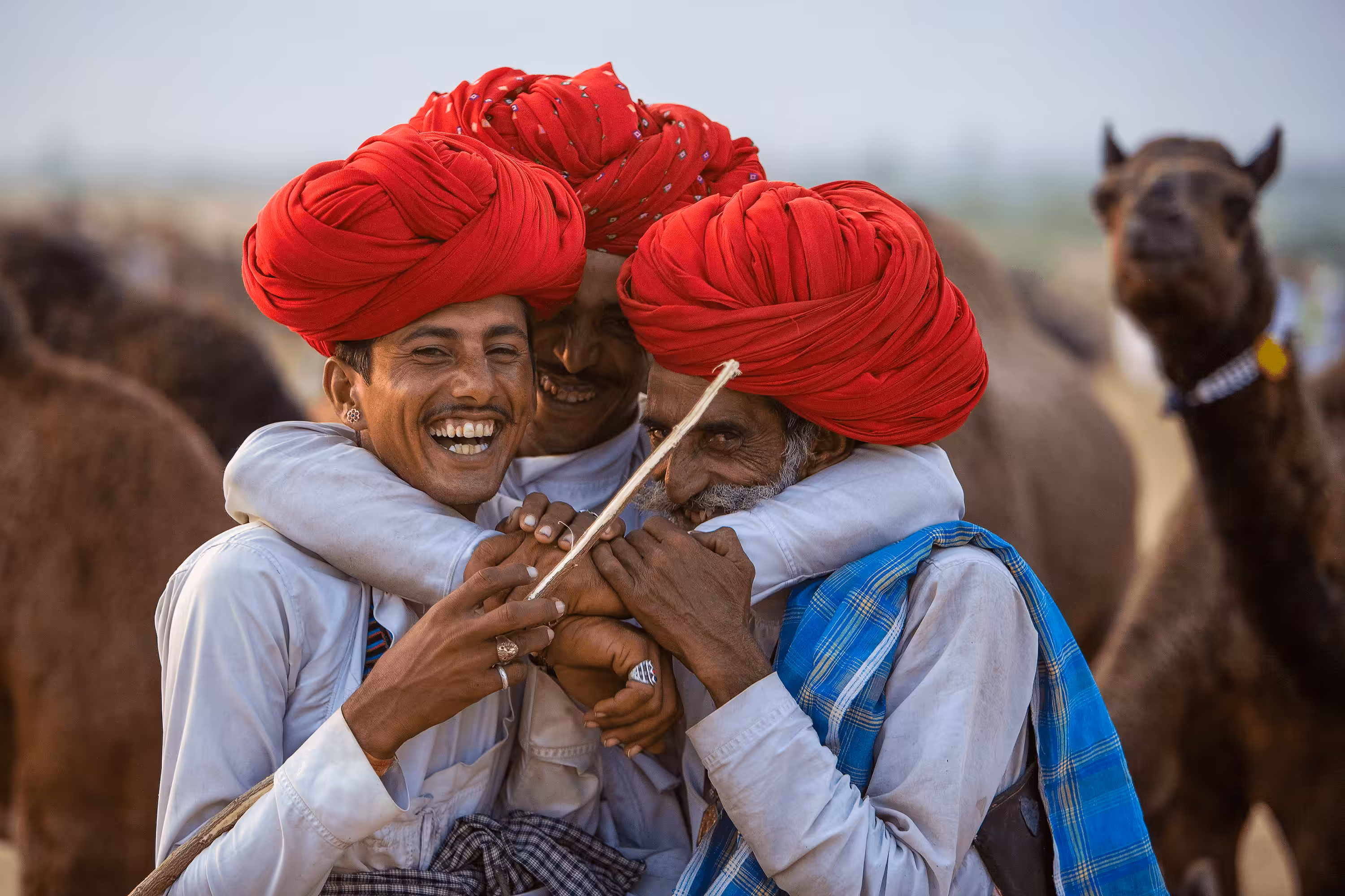 Soul2Soul #4. Camel Herders.