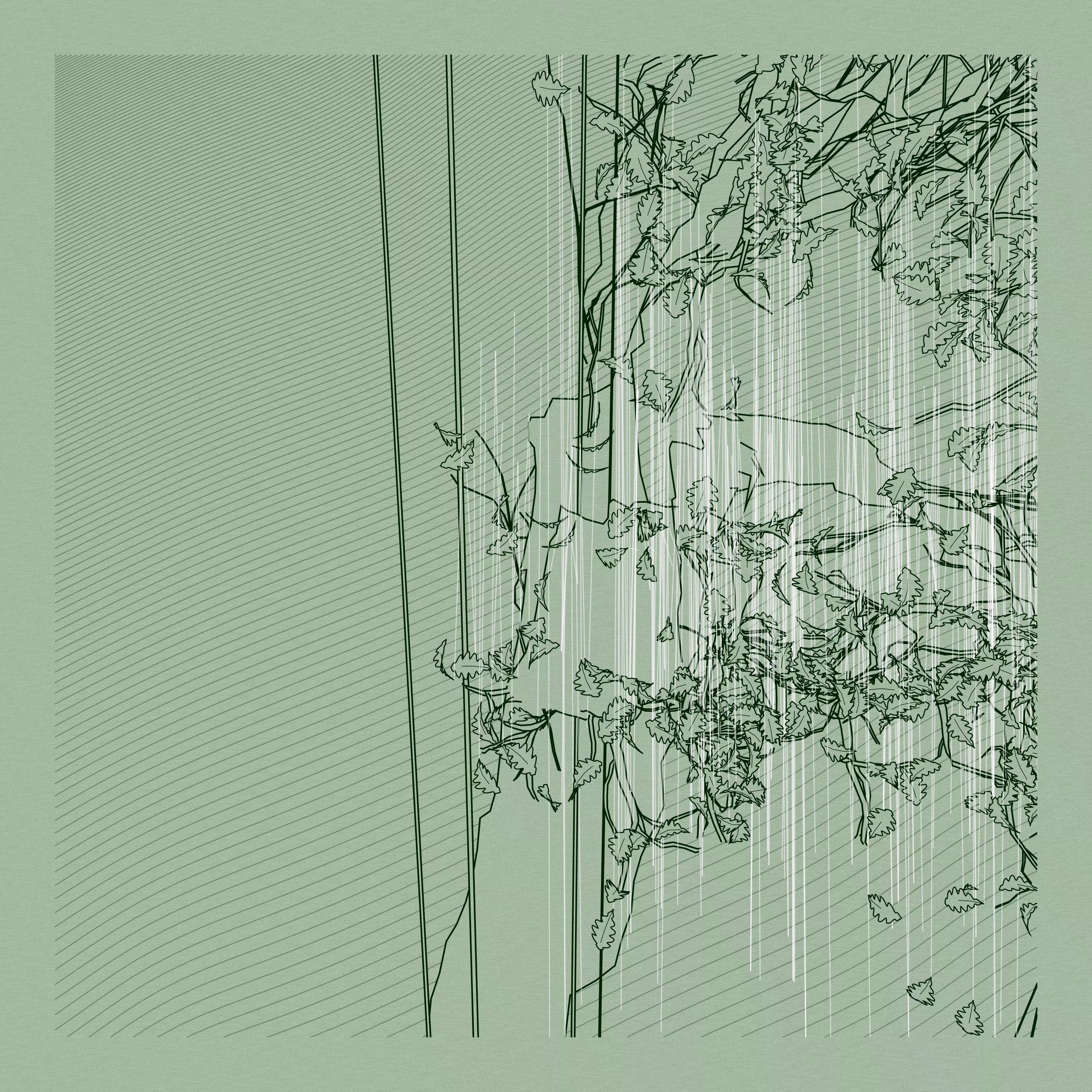 A Bugged Forest #245