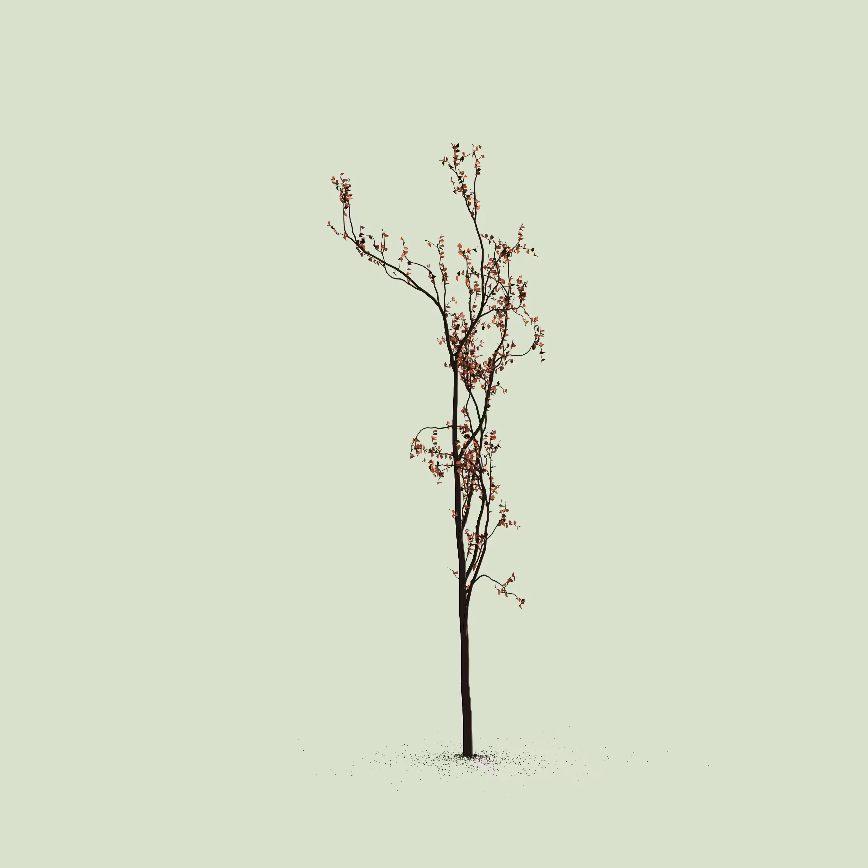 Little Trees #186