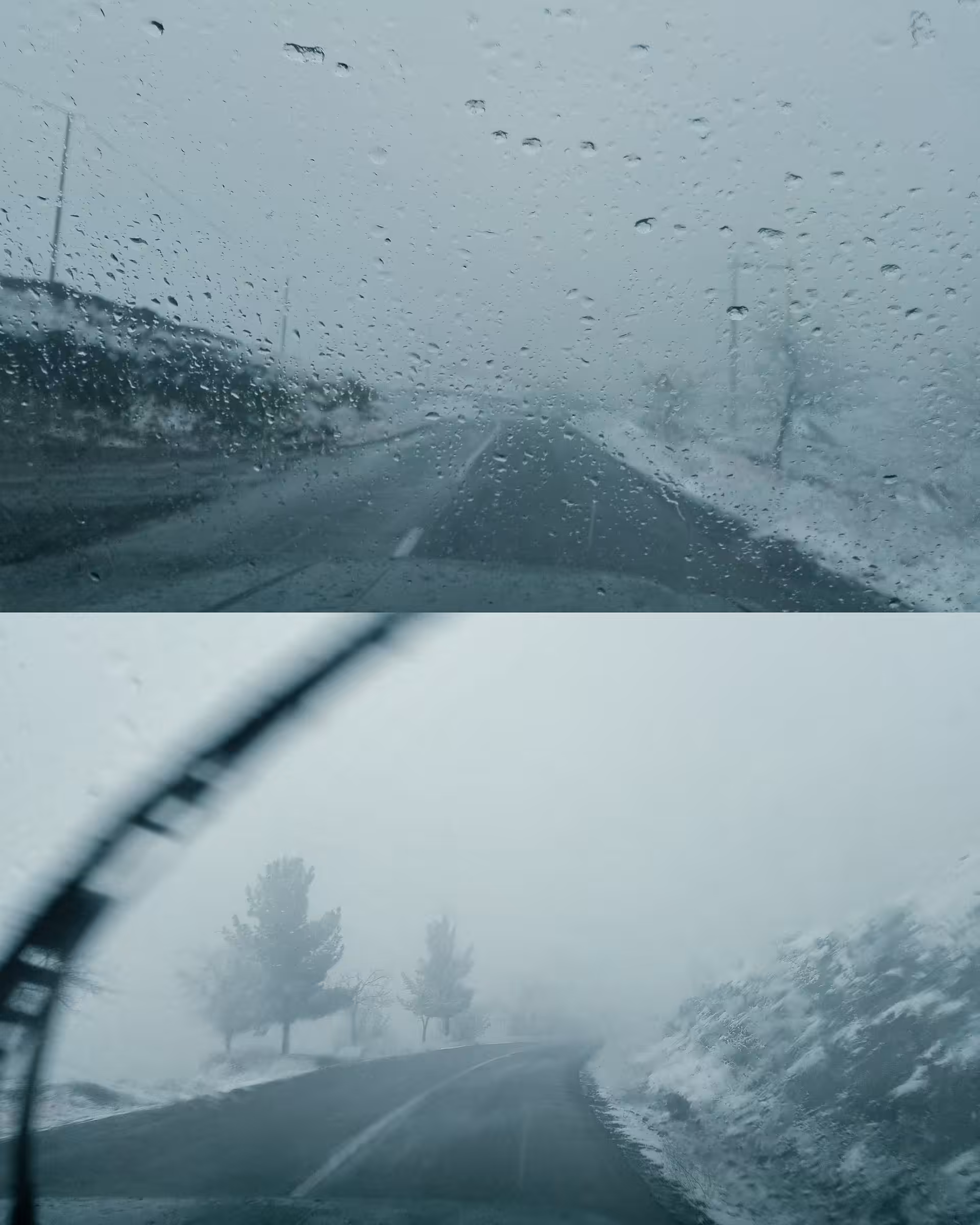 The Misty Path of Life