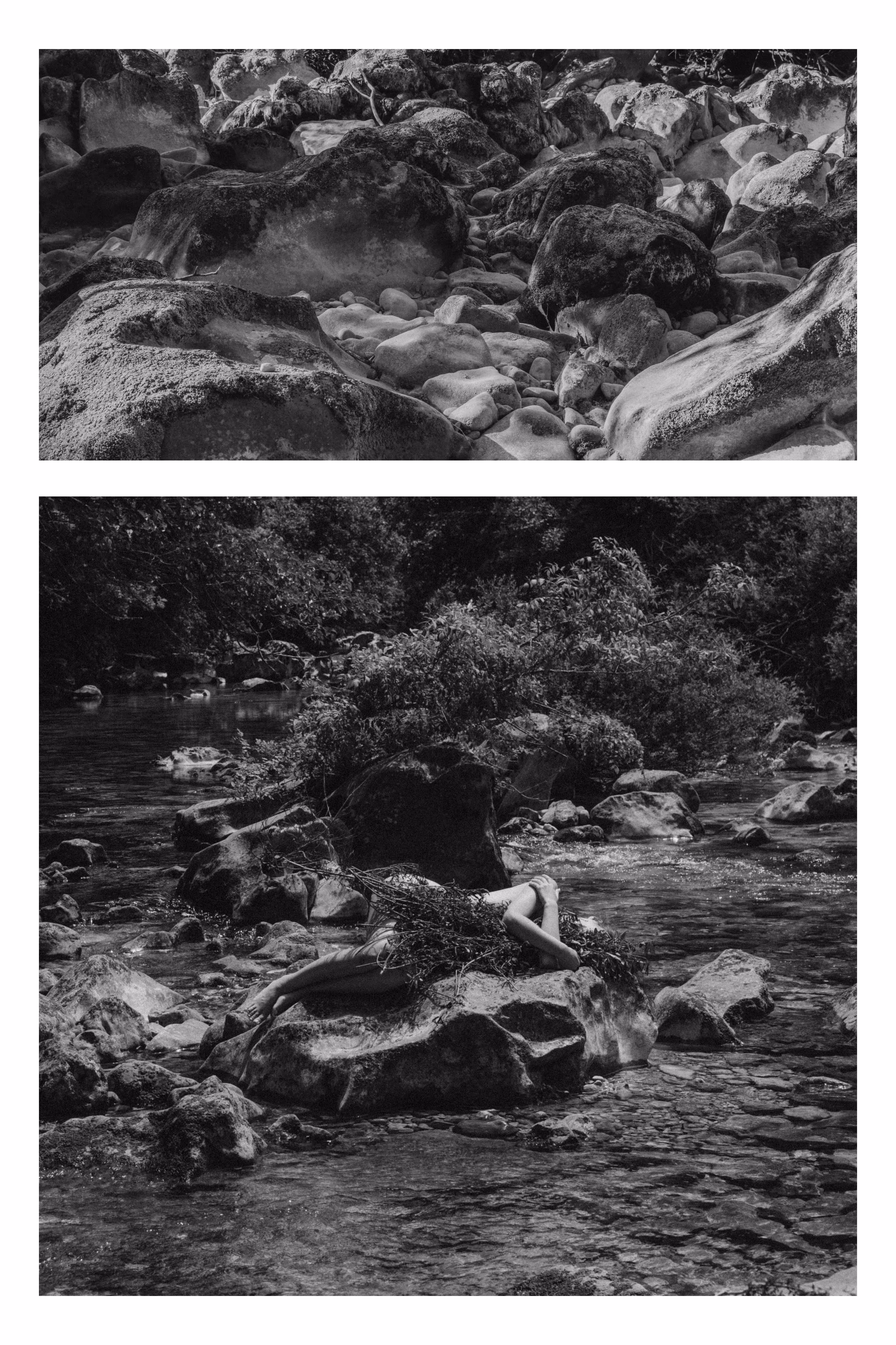 the embrace of life