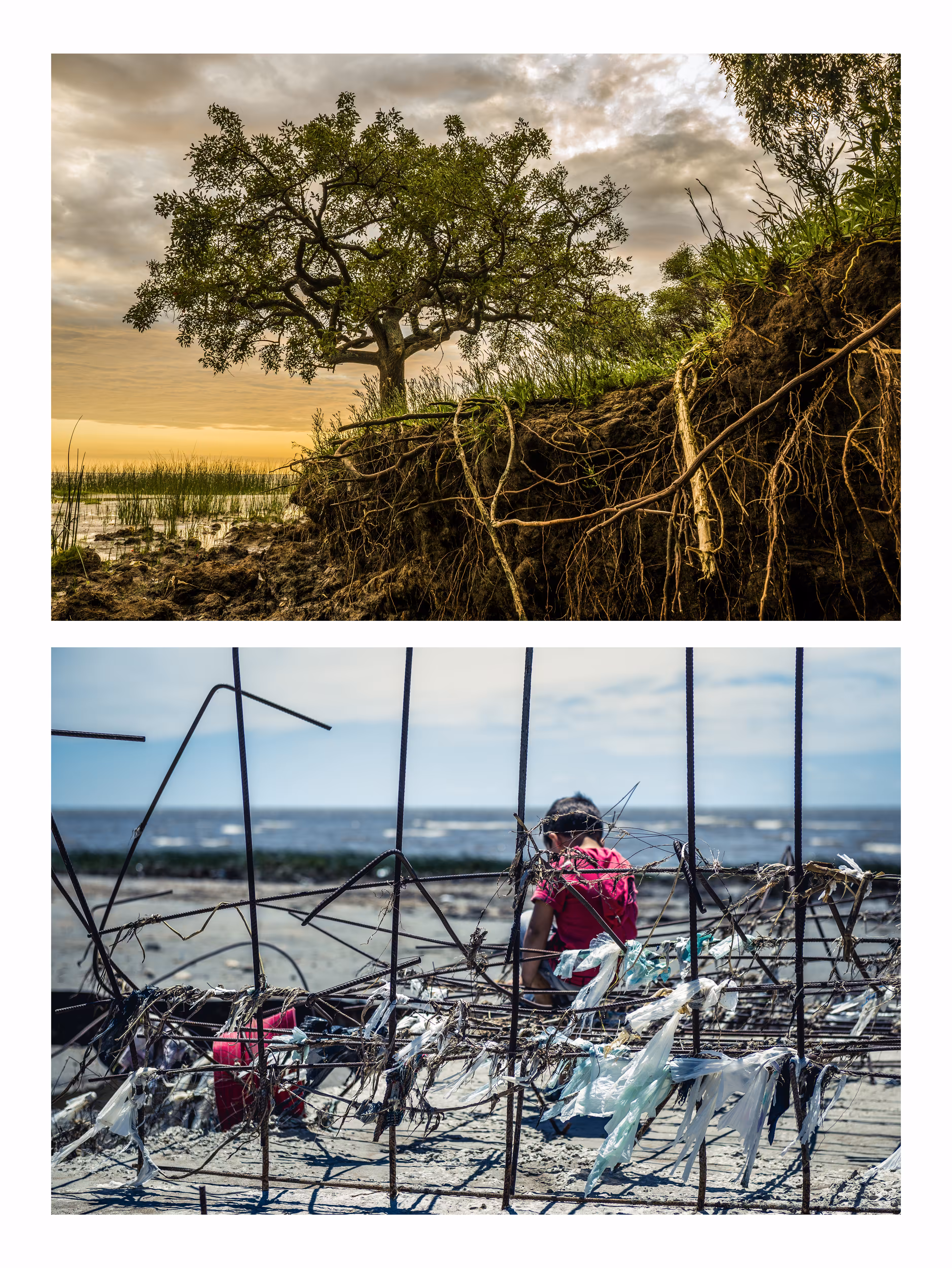 Roots or Ruins