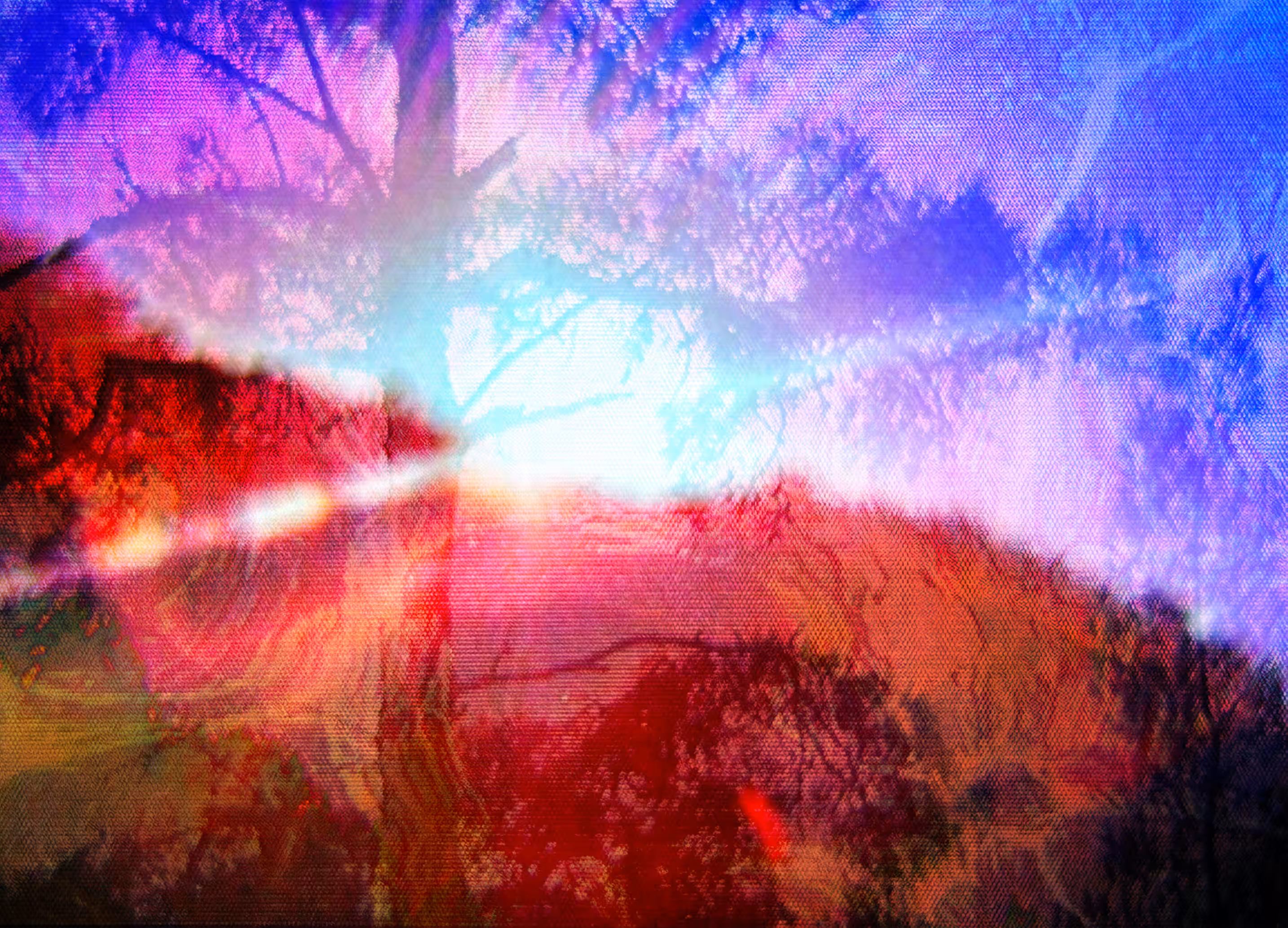 Roots 05