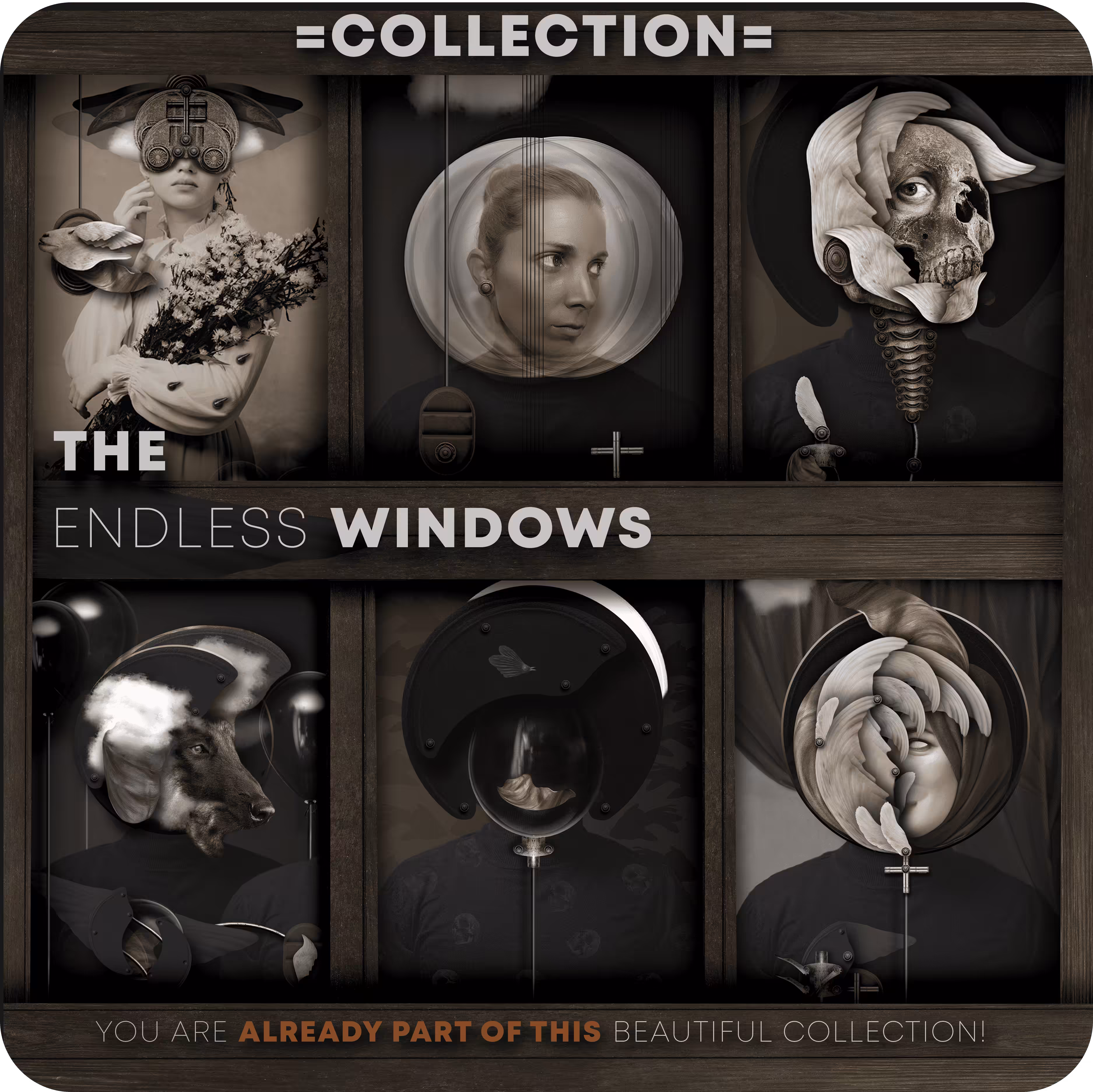 COLLECTOR'S CARD