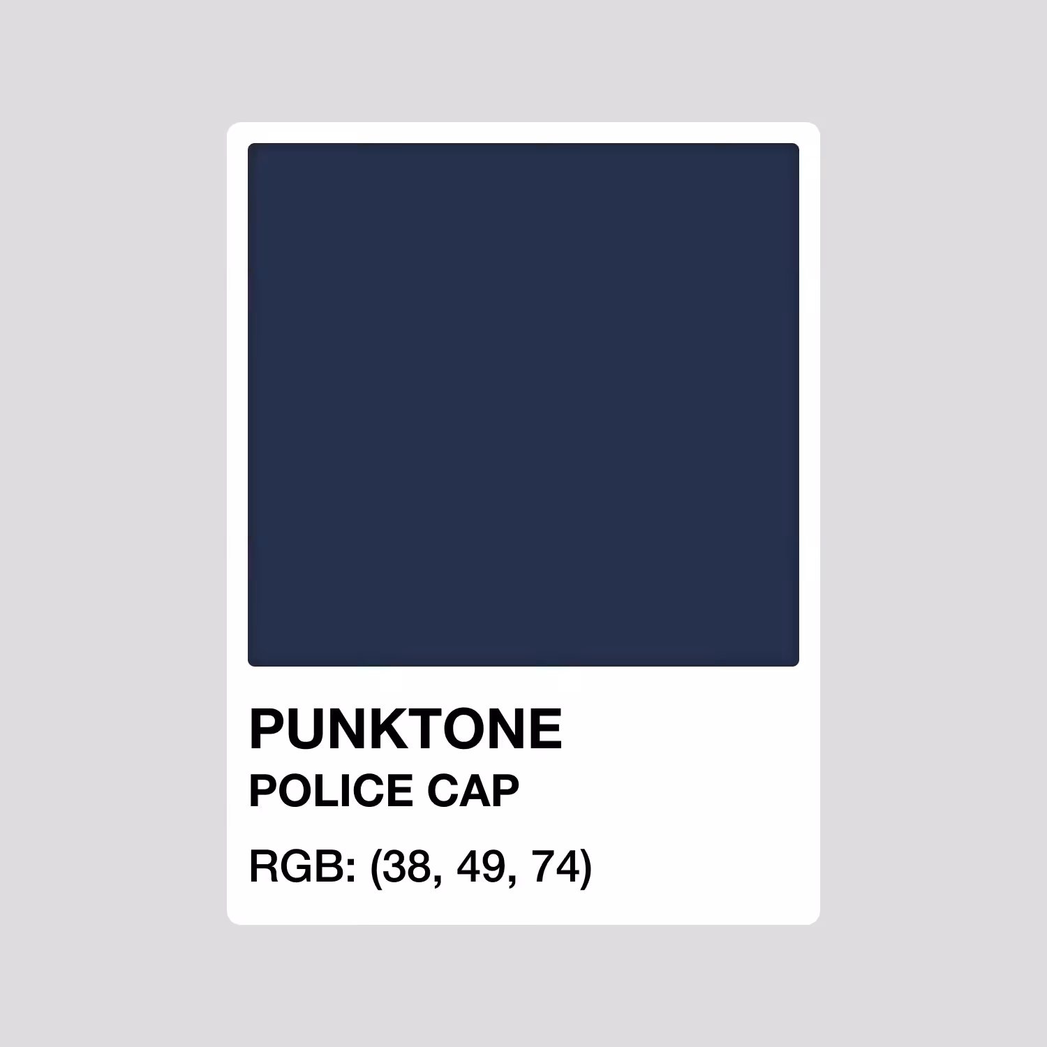 PUNKTONE POLICE CAP