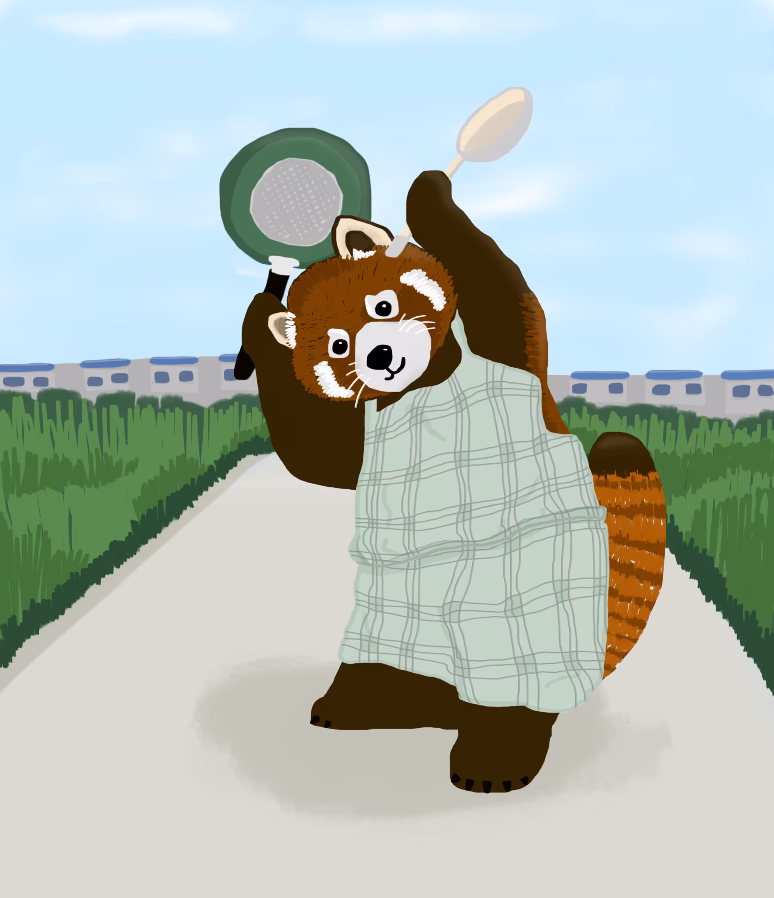 Red panda loves cooking