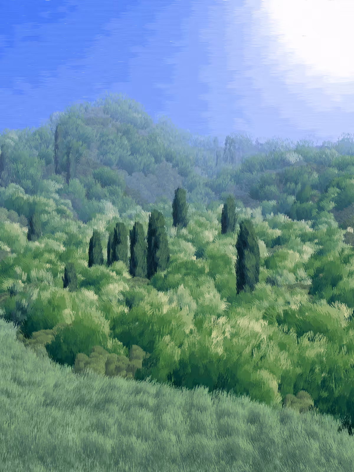 Provence #198
