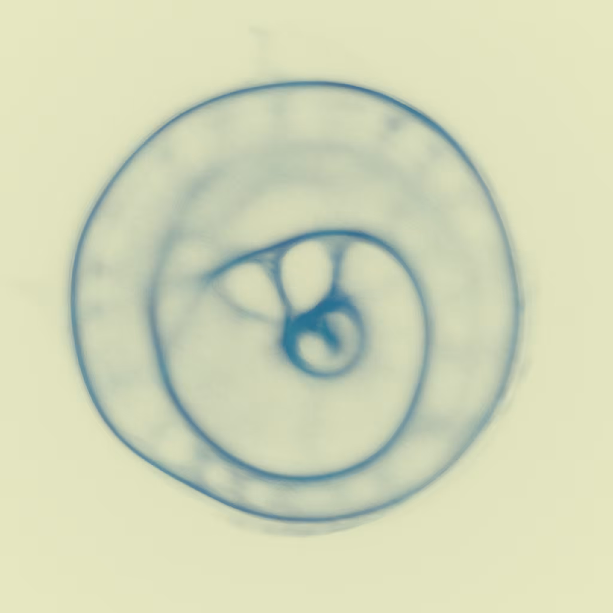 Agnoscopic #53