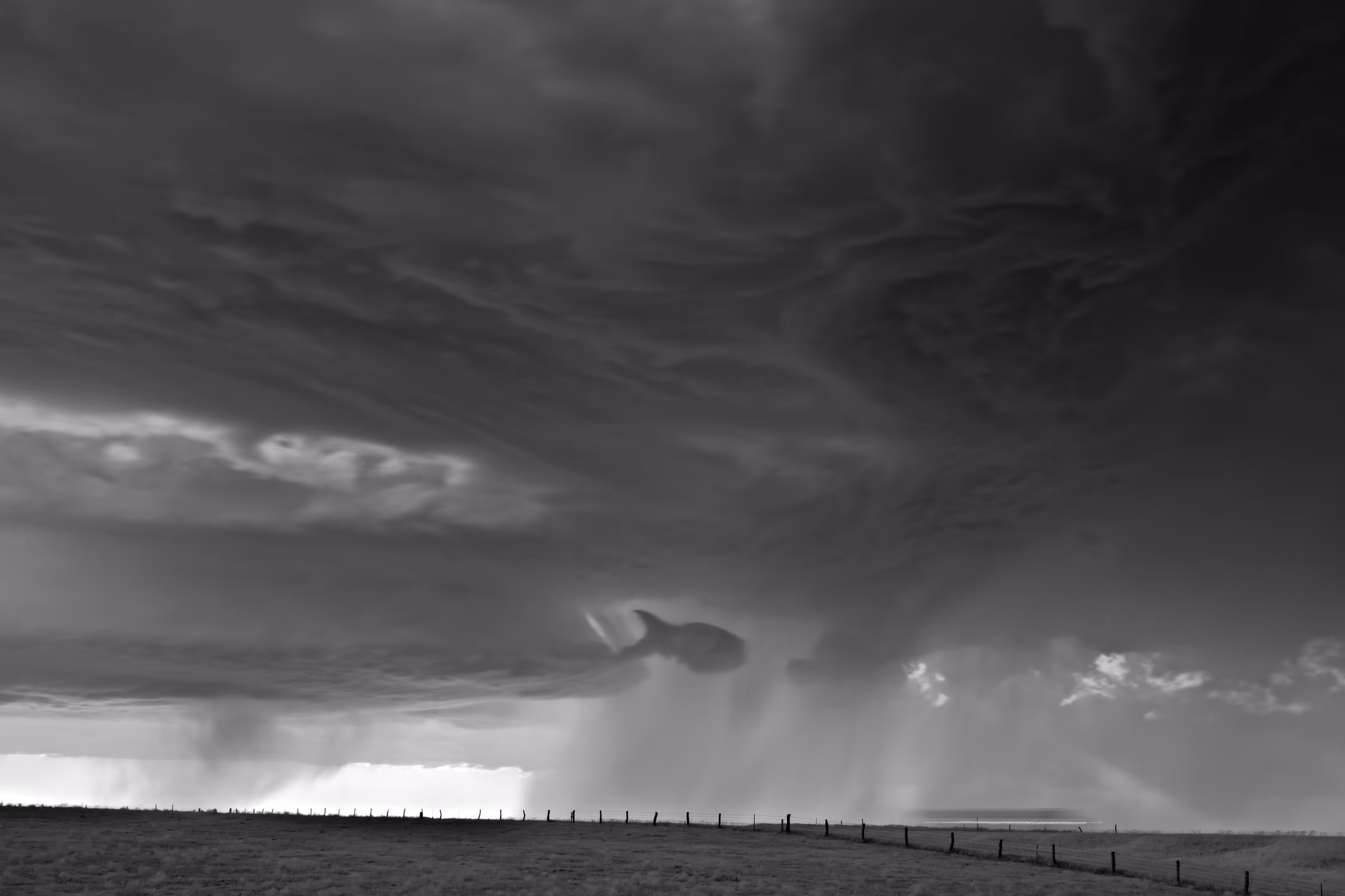 Storms - Fish and Fence