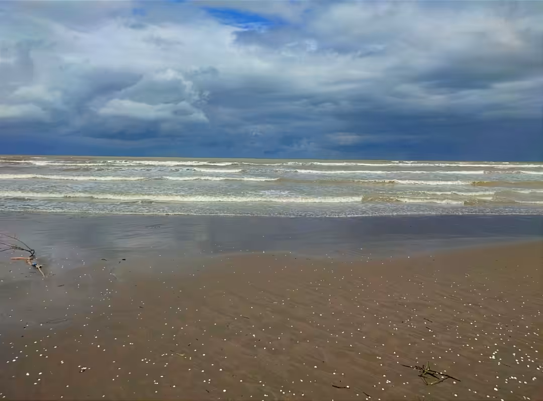 miss the sea