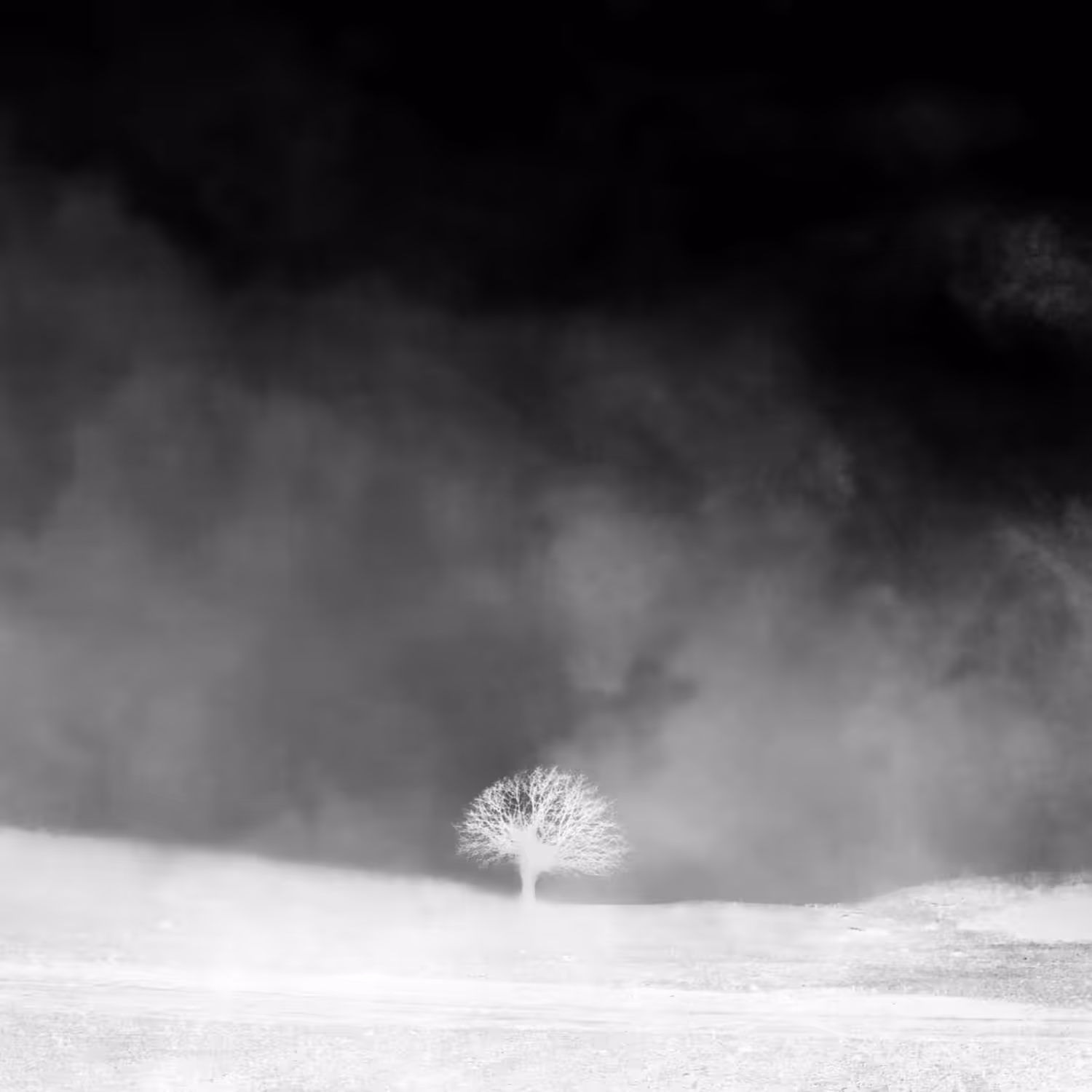 NEGATIVE #13