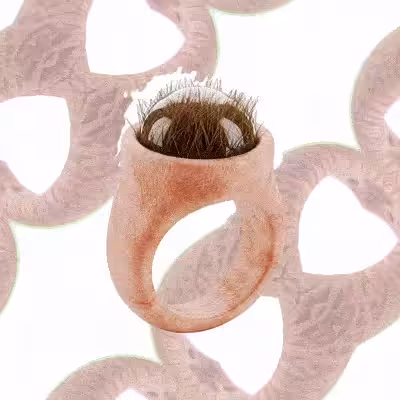 Magic Items Shop: 💍Ring of Majestic Locks ✨