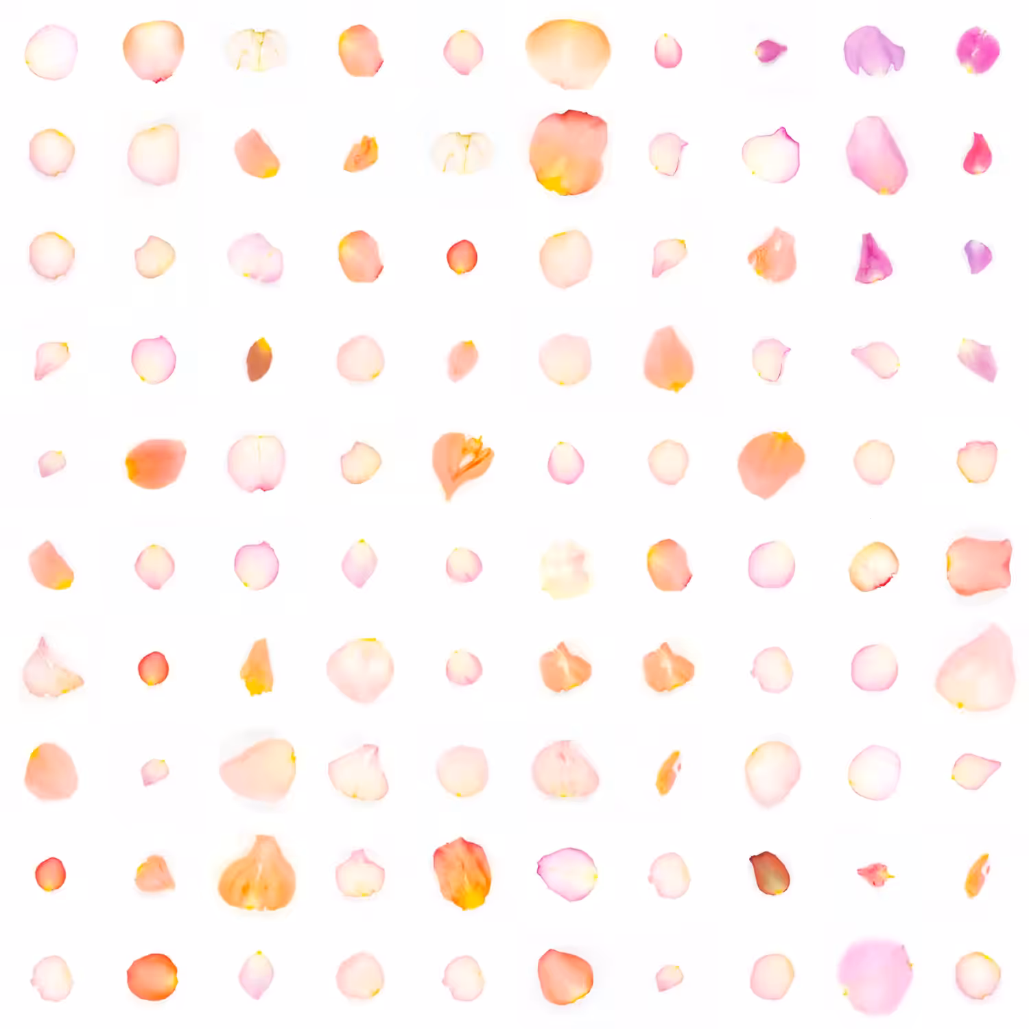 Infinite Petals 10x10#1777
