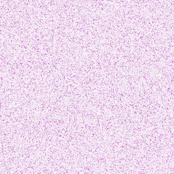 Mosaic #6