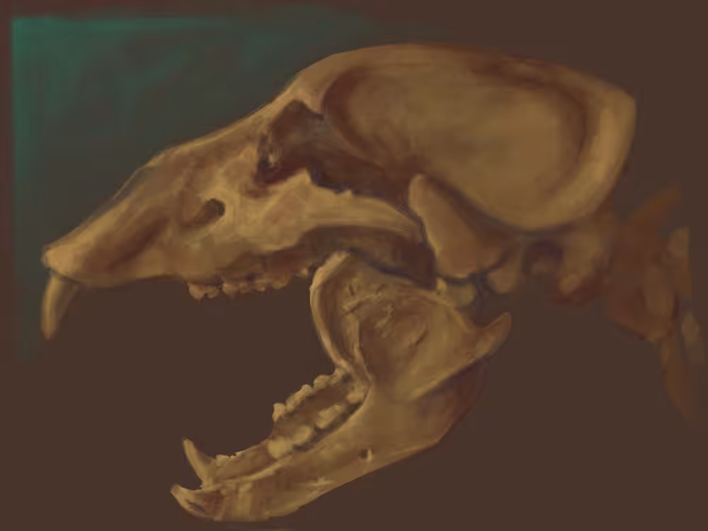 Smilodon