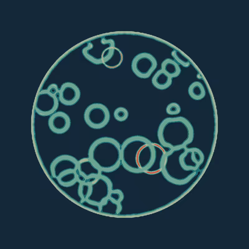 Cheap Petri Dish #17