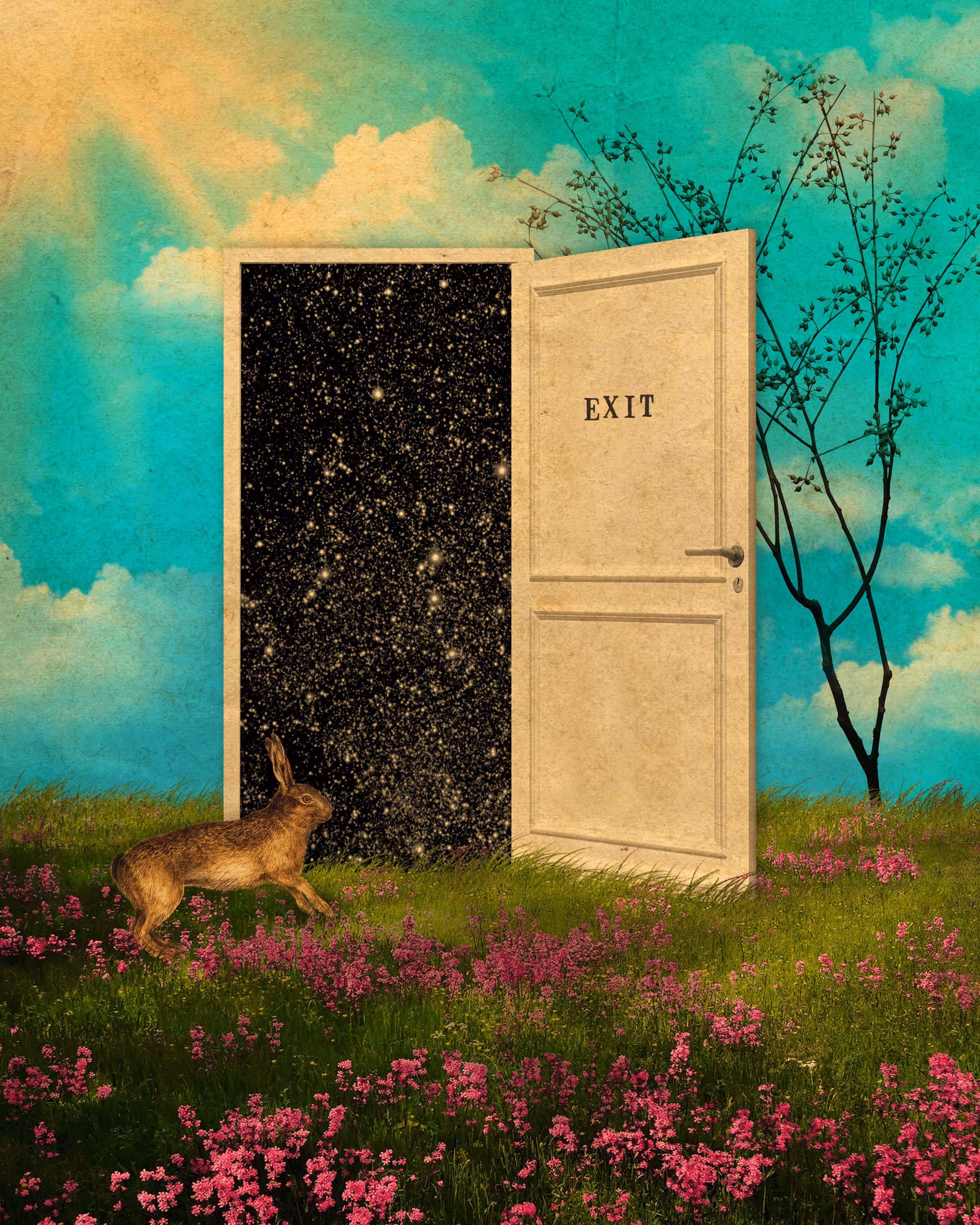 Meadow Door