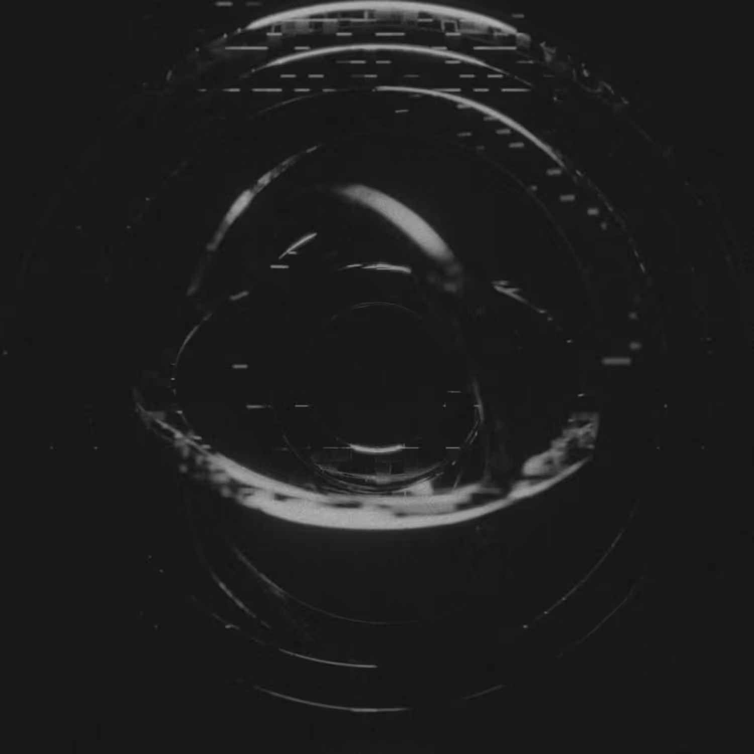 Vis Centrifuga
