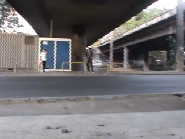 haikai do carinho II