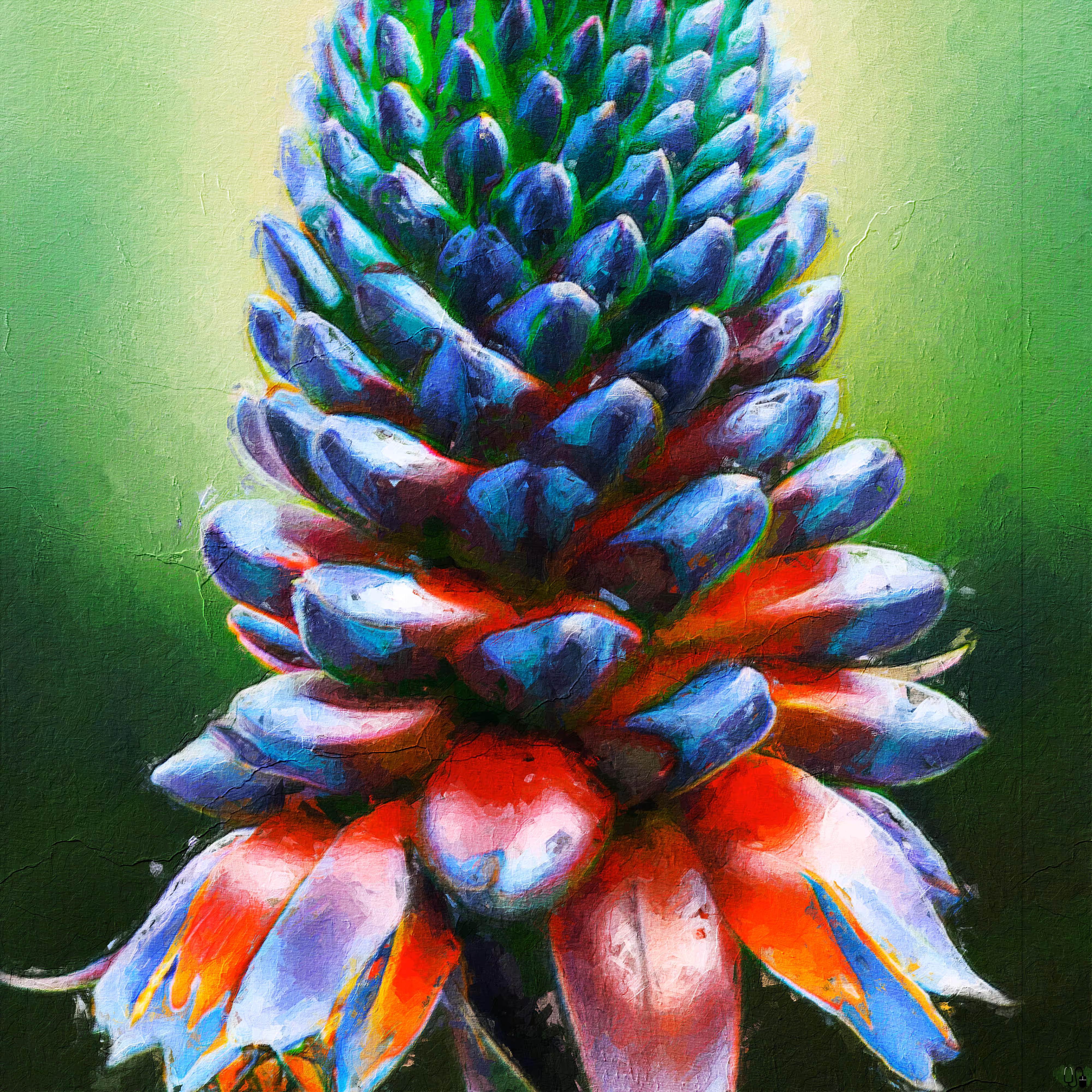Blue Puya