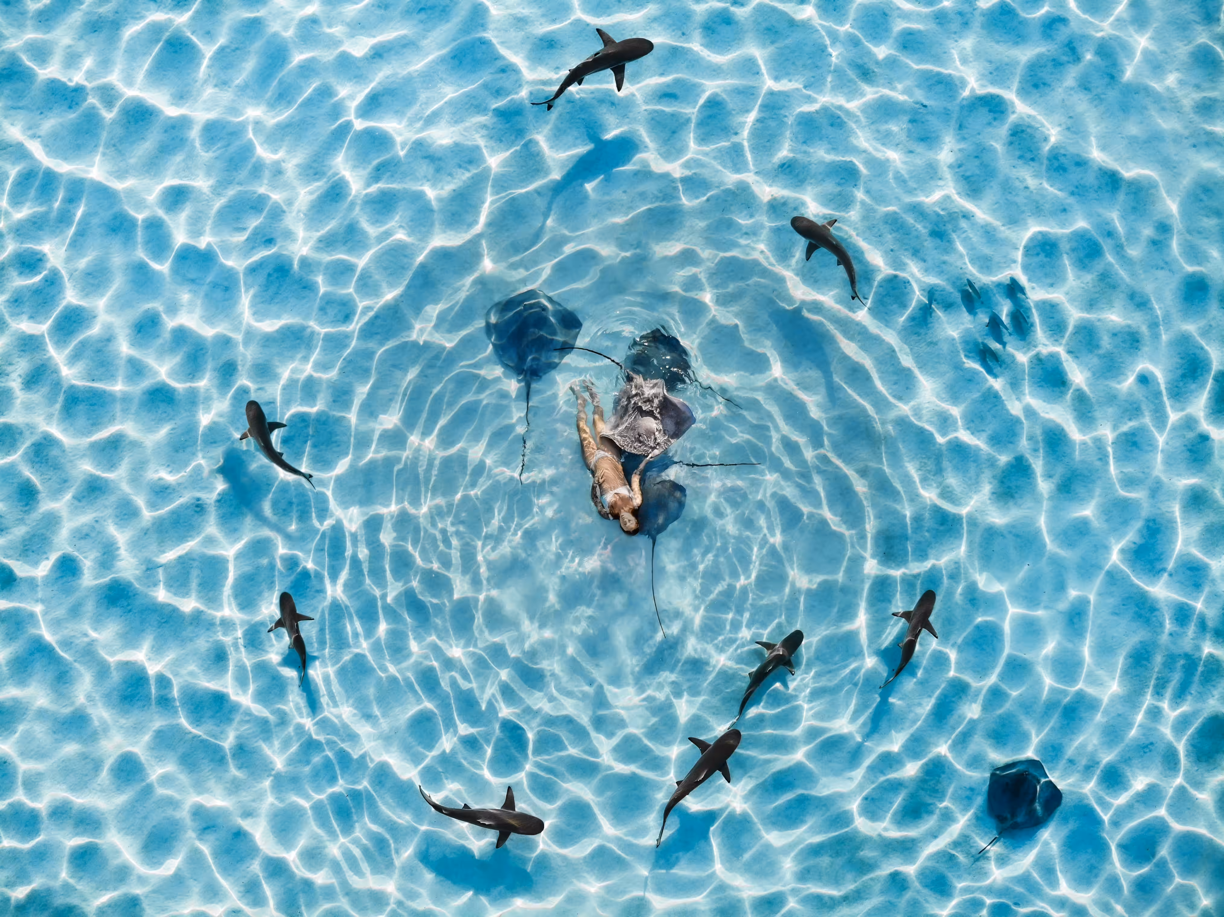 Lagoon Child