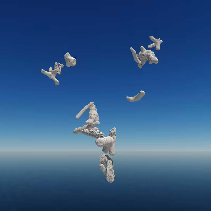 Bone Work (Gulf of Mexico) 2022 #1