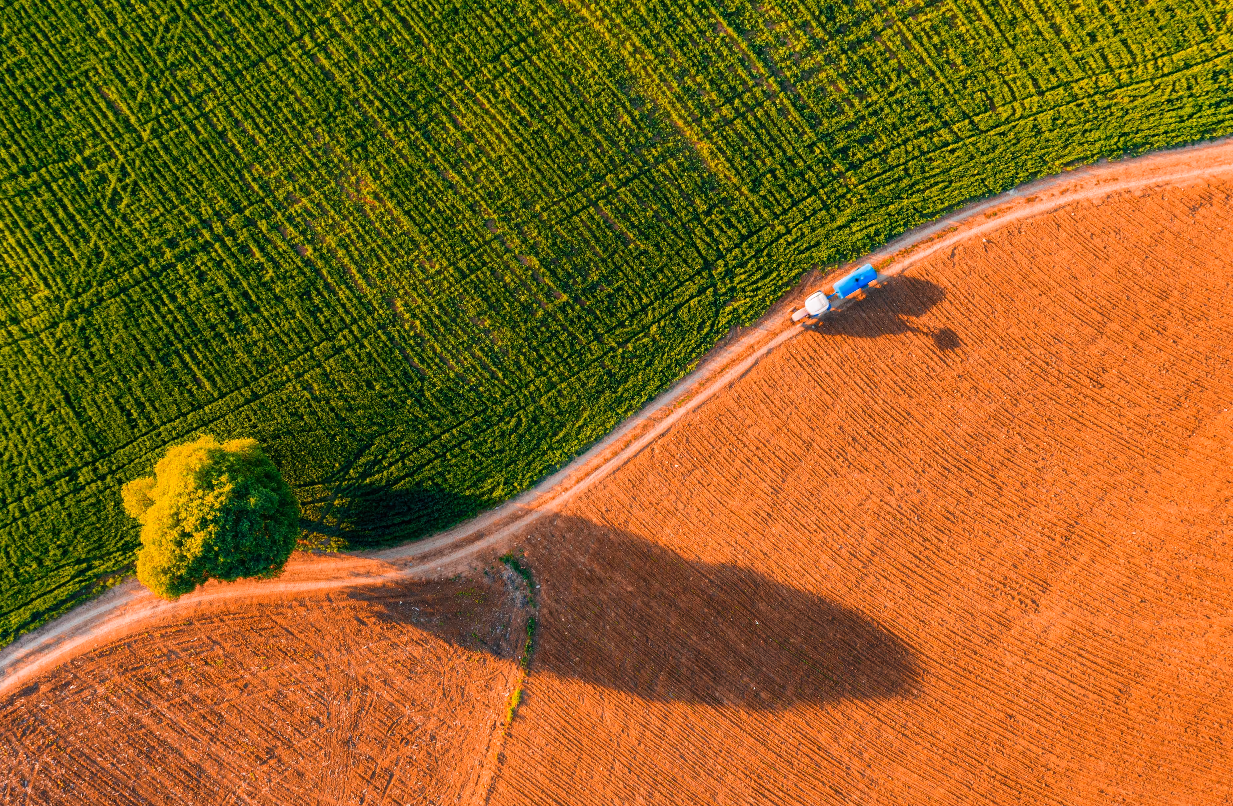 Agriculture Way