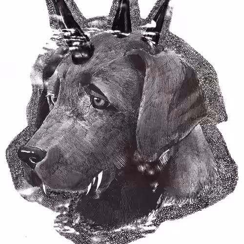 Horns x Animals-black dog-