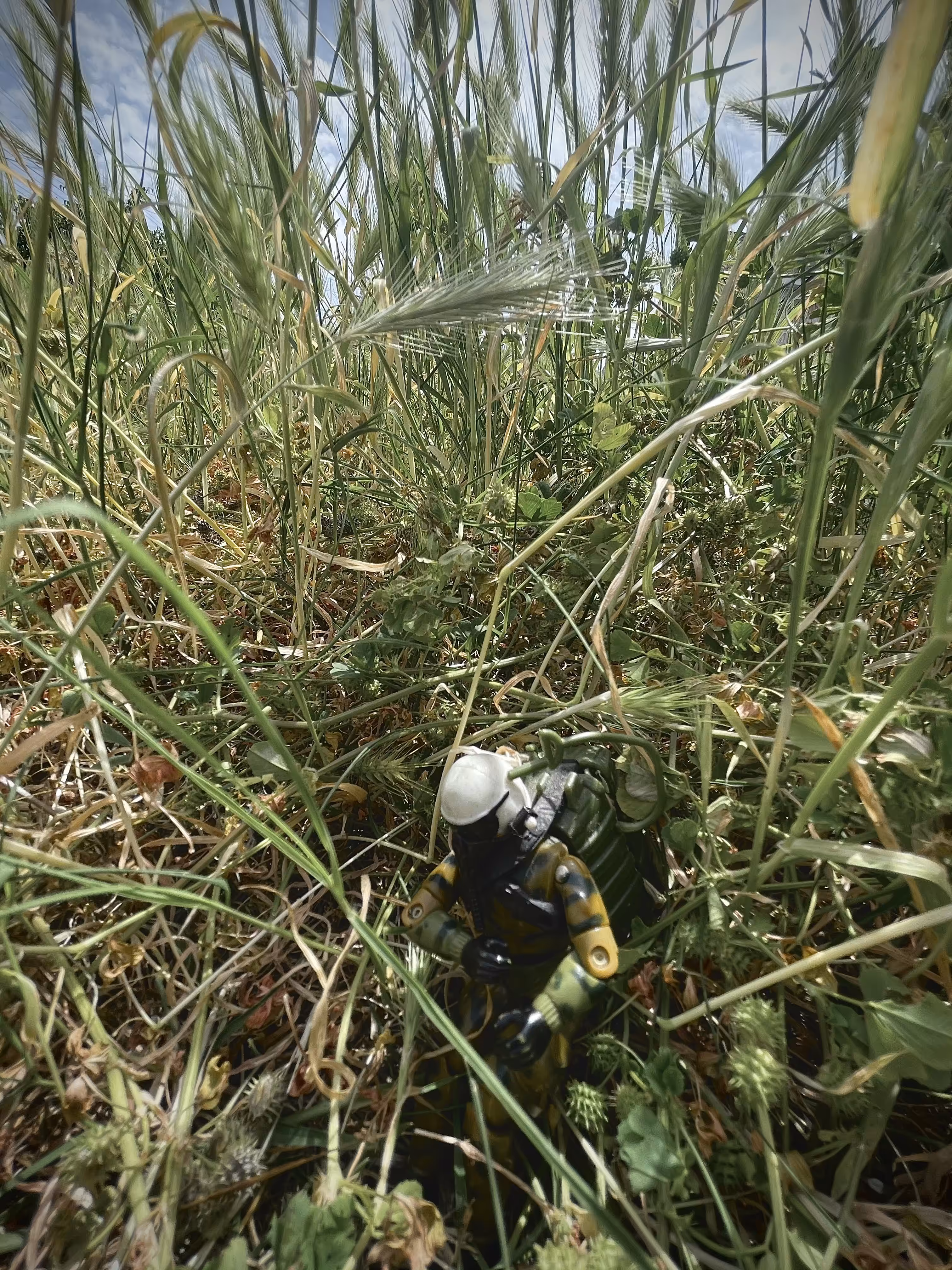 Landing! 1/4