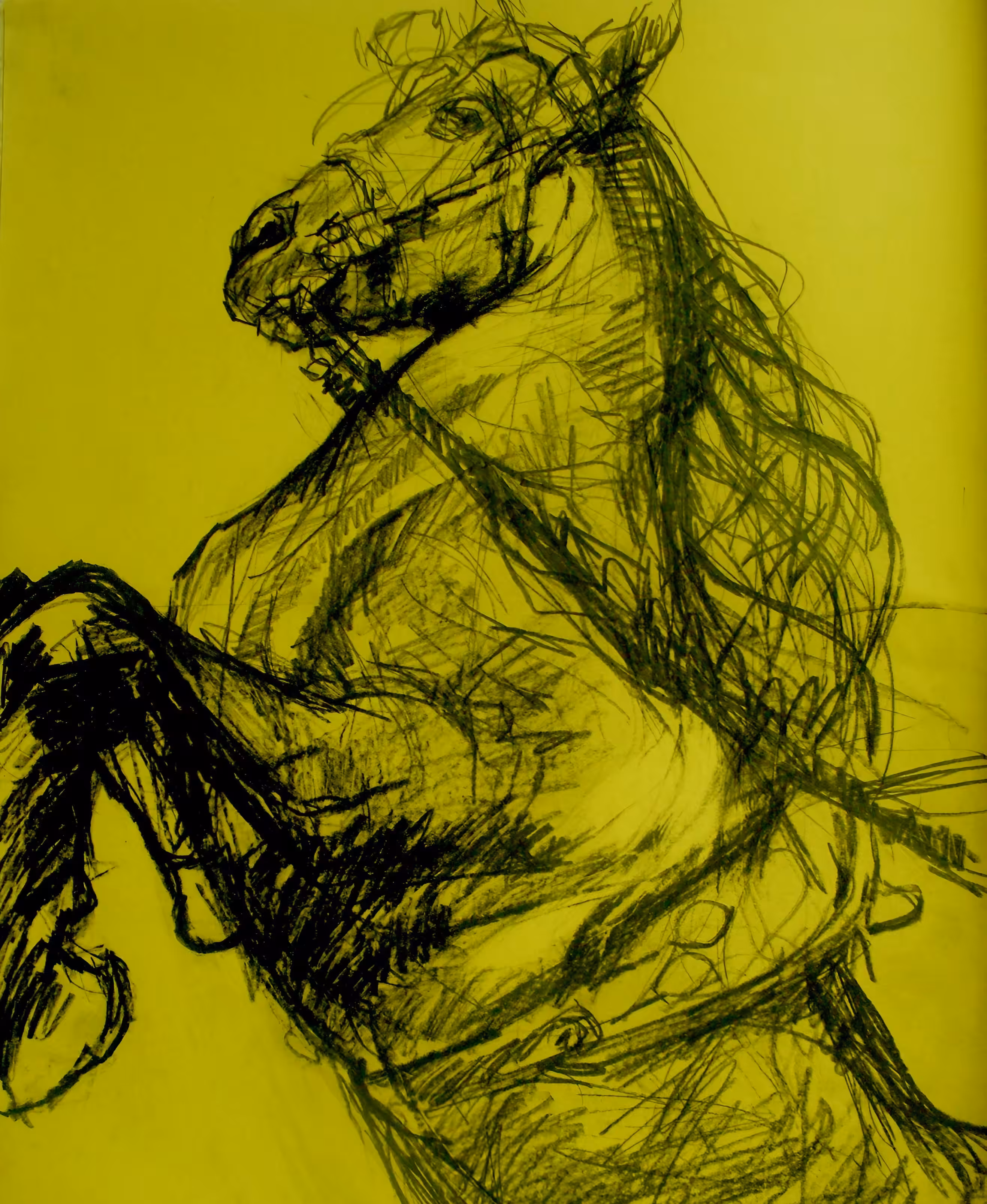 NeyHey Horse -Hootz - 