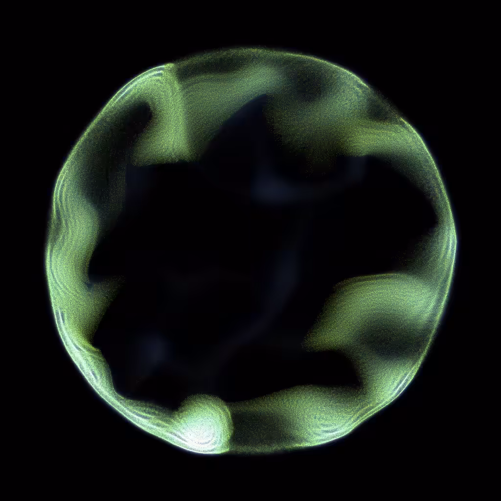 PETRI #74