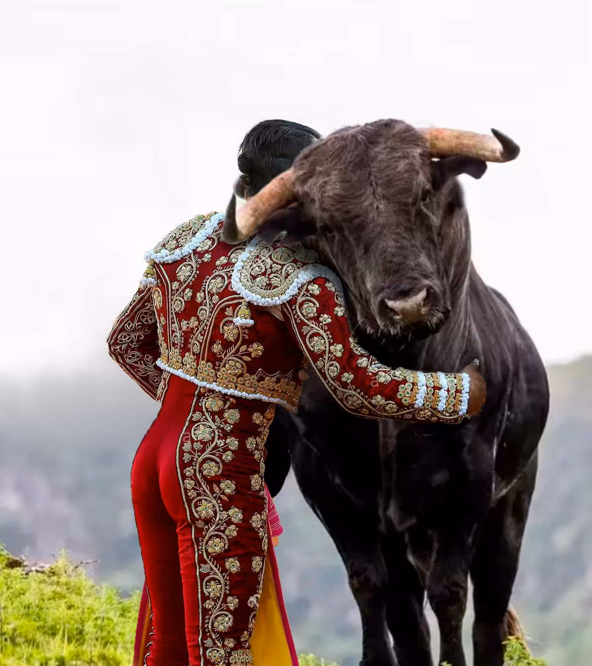 Bullfighter