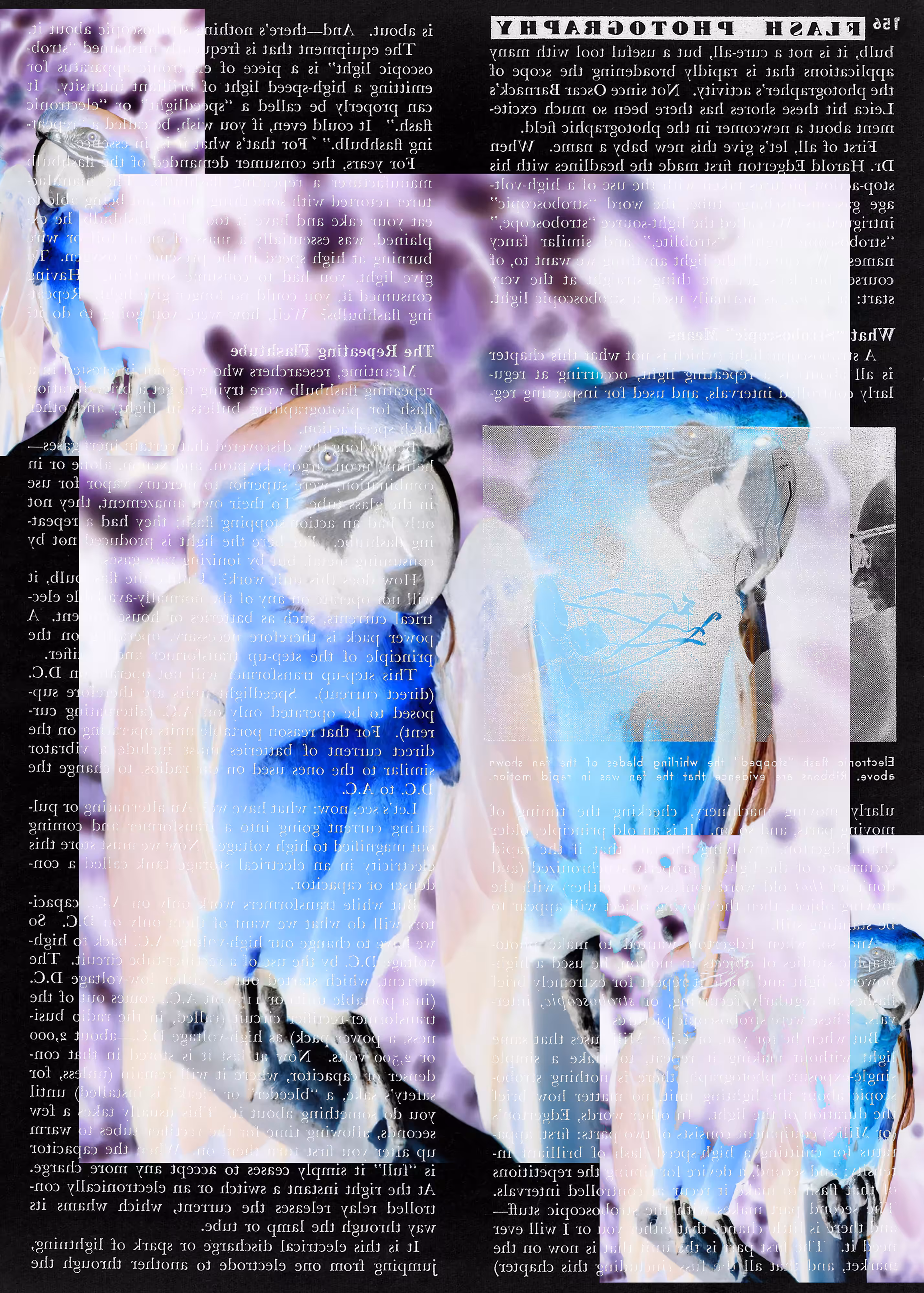 49/23 (#097)